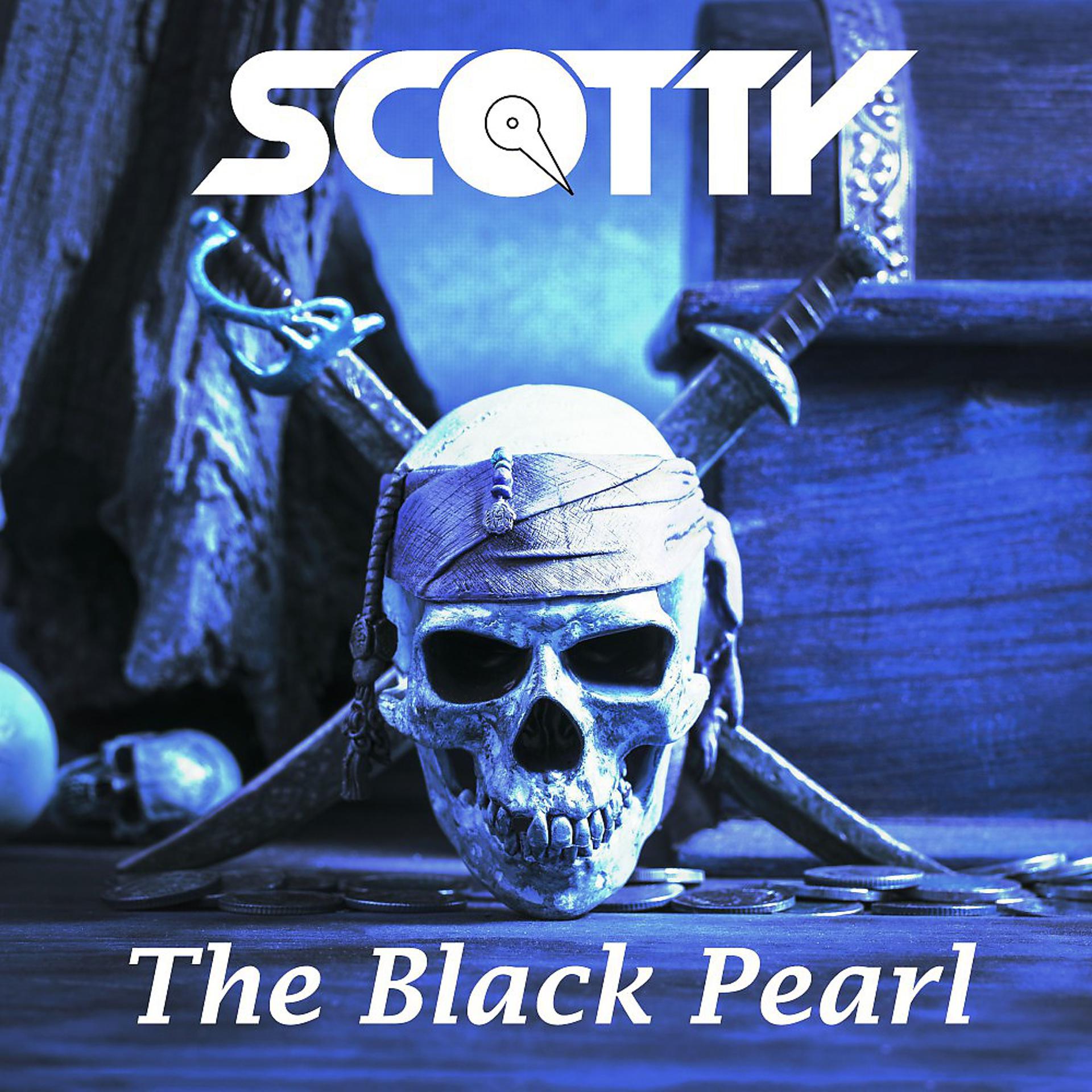Постер альбома The Black Pearl (2K17 Remixes)