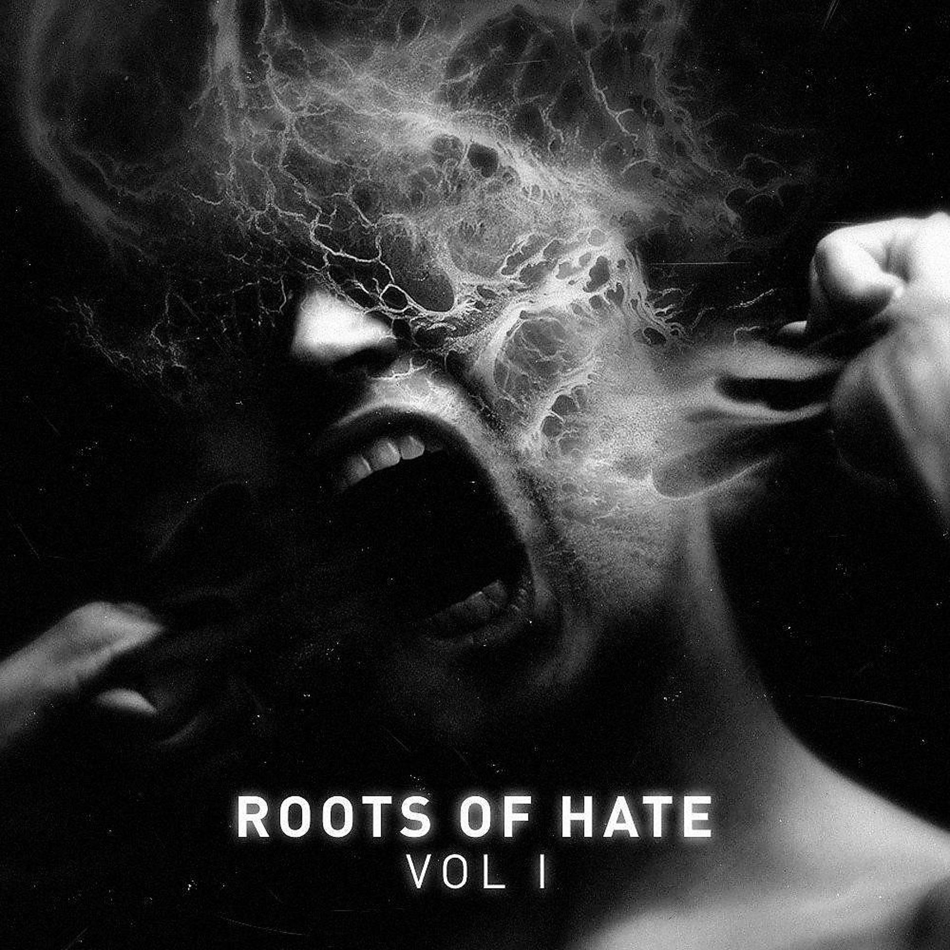 Постер альбома Roots of Hate Vol. 1