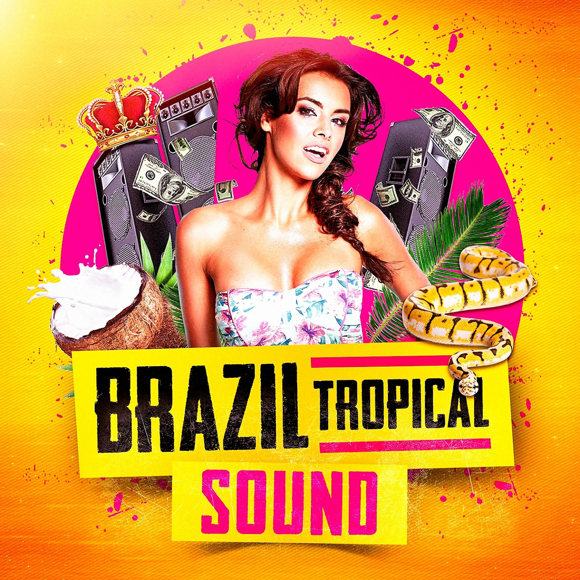 Постер альбома Brazil Tropical Sound