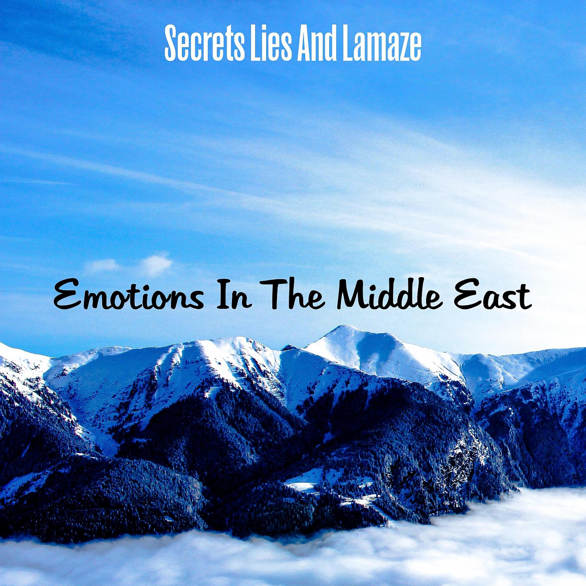 Постер альбома Secrets Lies And Lamaze