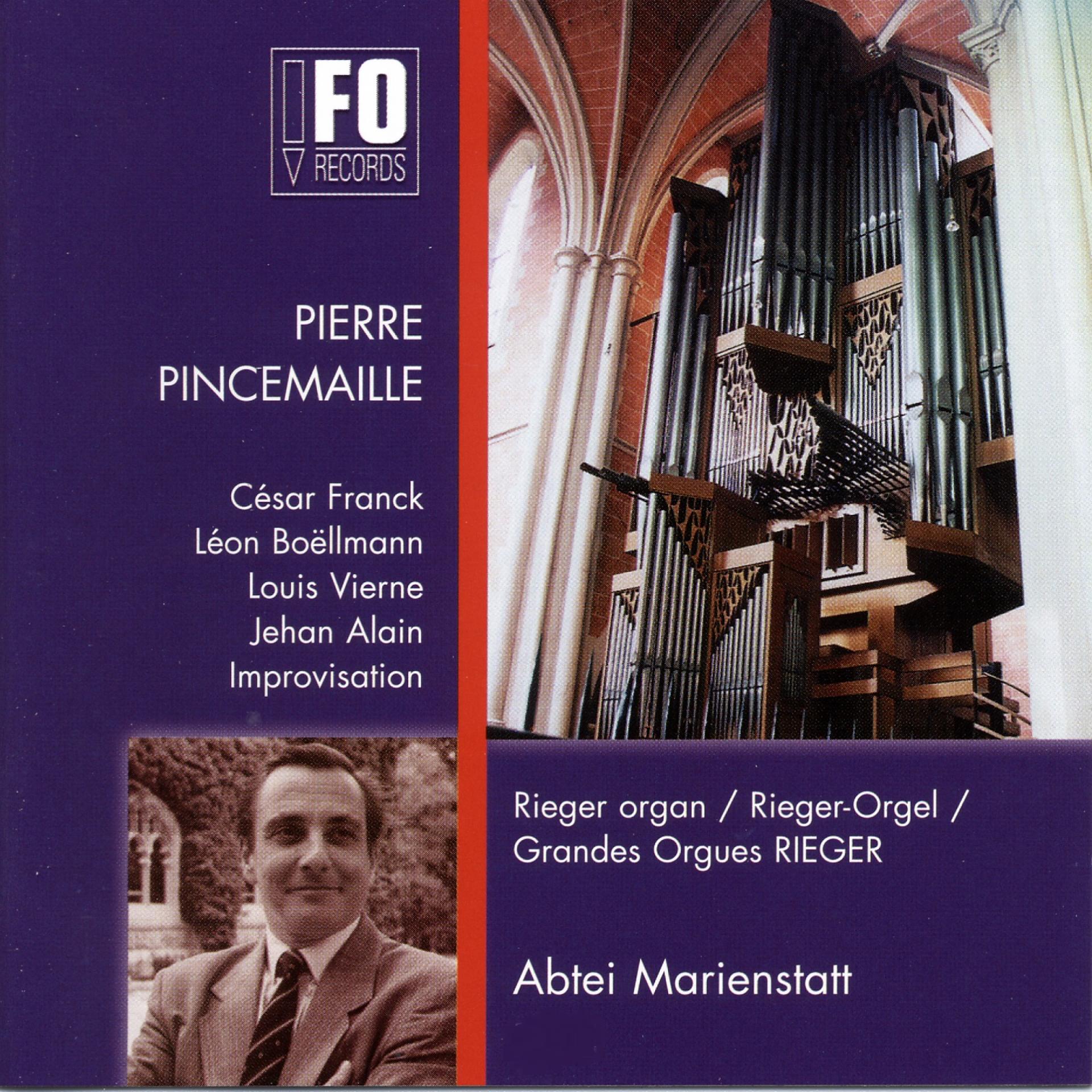 Постер альбома 30 Jahre Rieger-Orgel Abtei Marienstatt