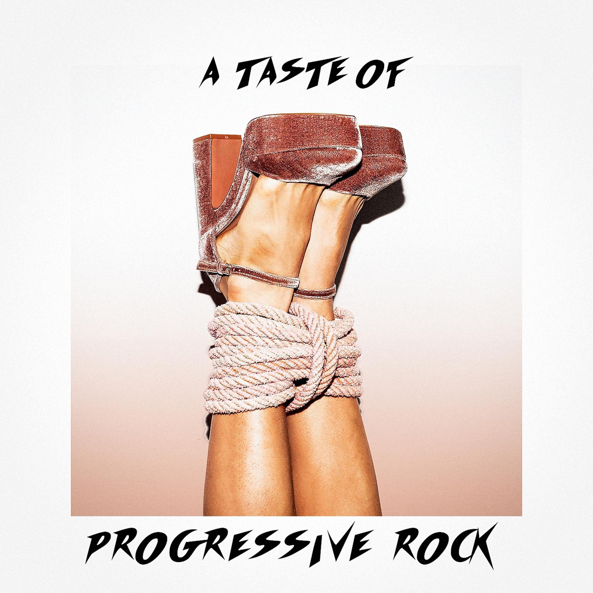 Постер альбома A Taste of Progressive Rock