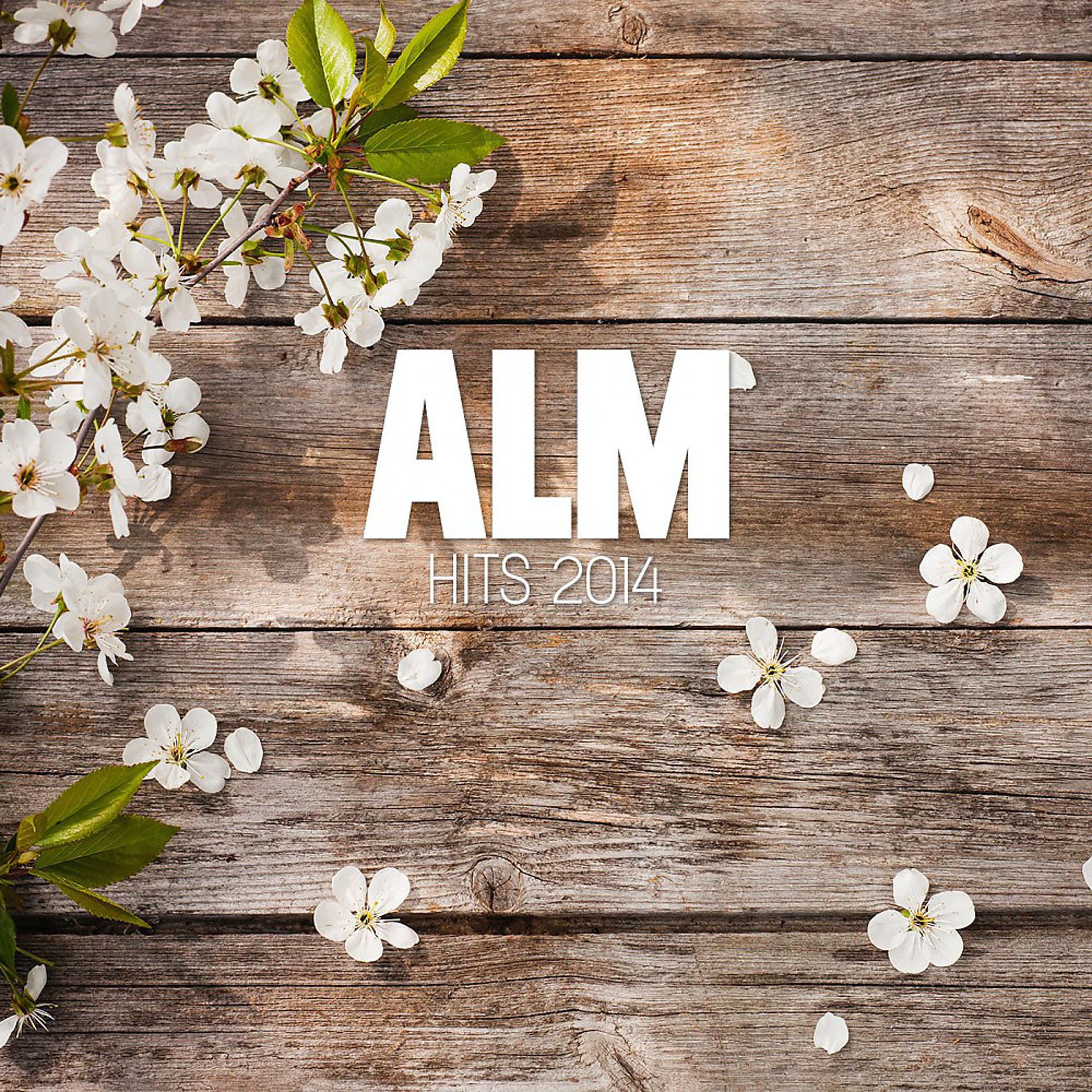 Постер альбома Alm Hits 2014