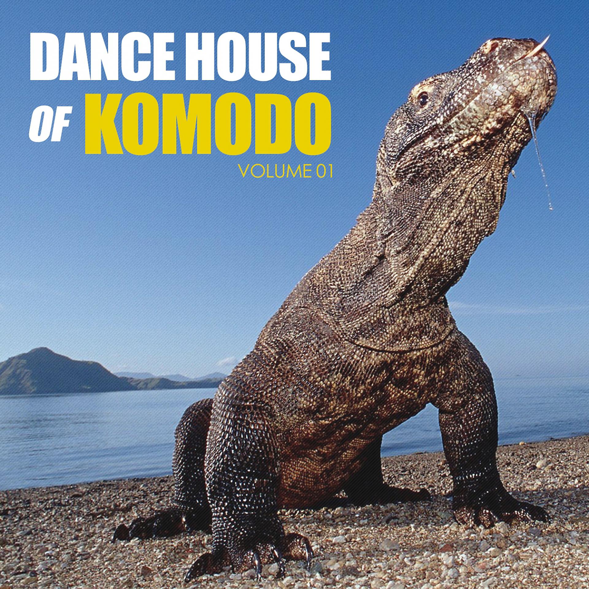 Постер альбома Dance House of Komodo, Vol. 1