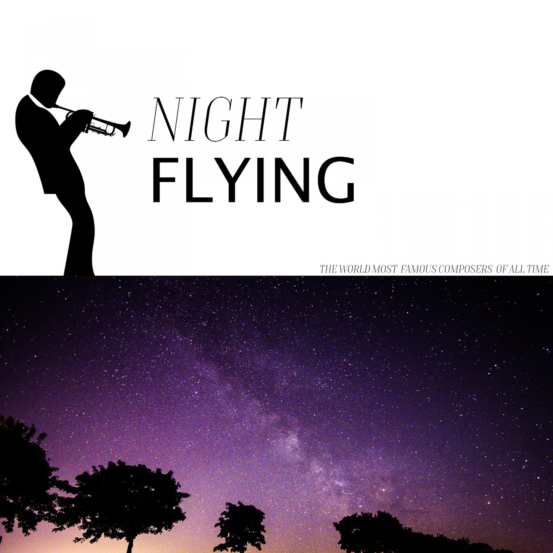 Постер альбома Night Flying