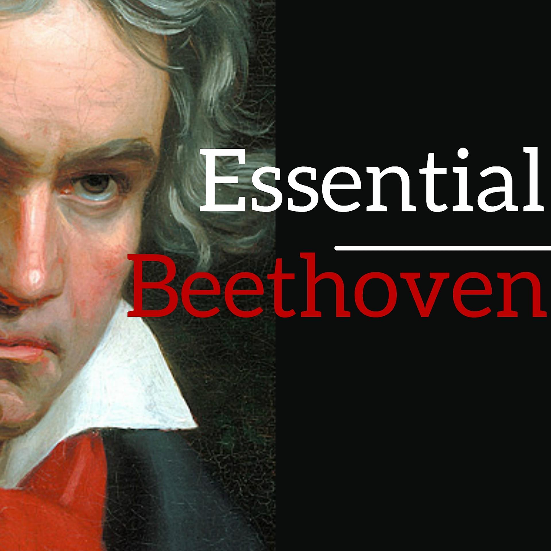 Постер альбома Essential Beethoven