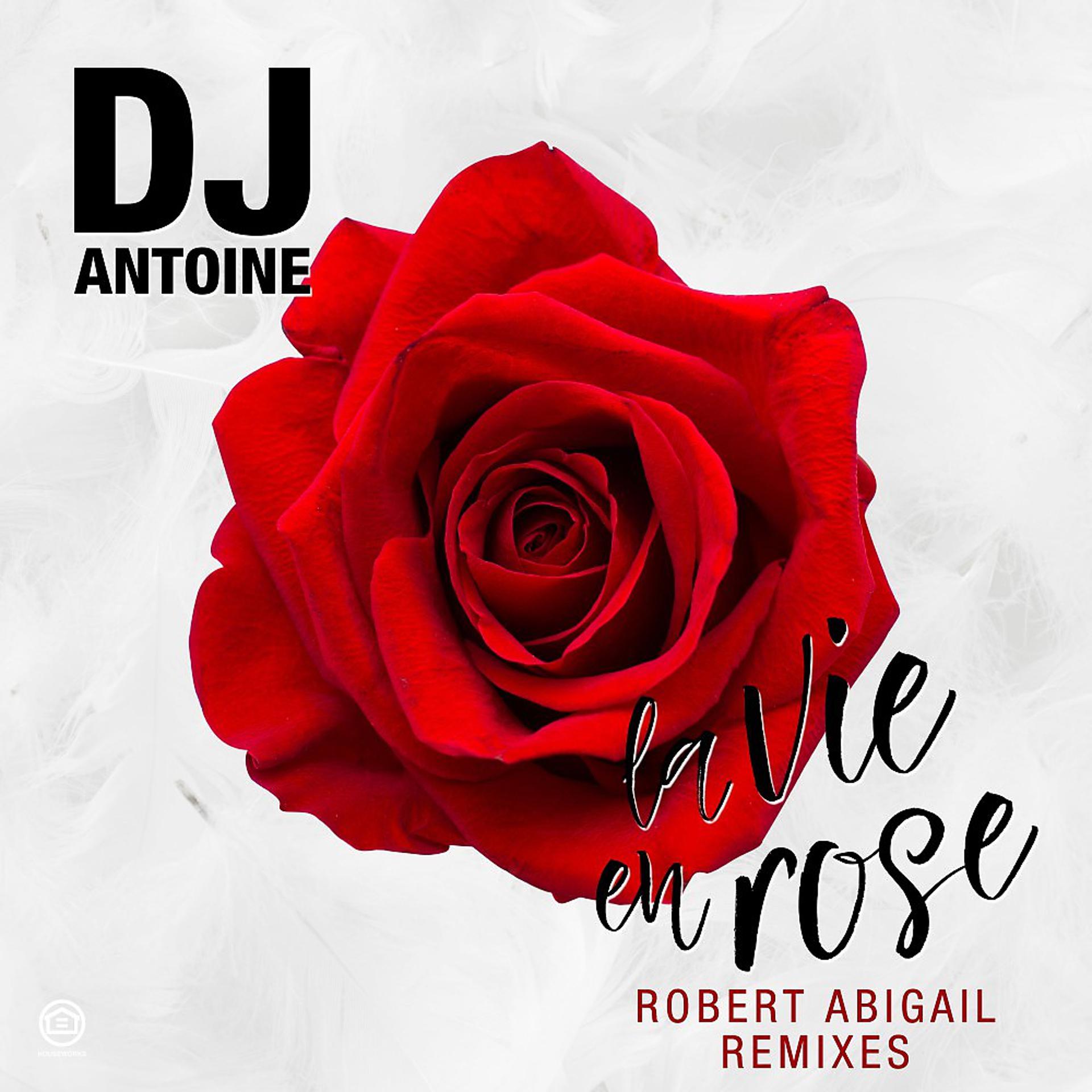 Постер альбома La Vie en Rose (Robert Abigail Remixes)