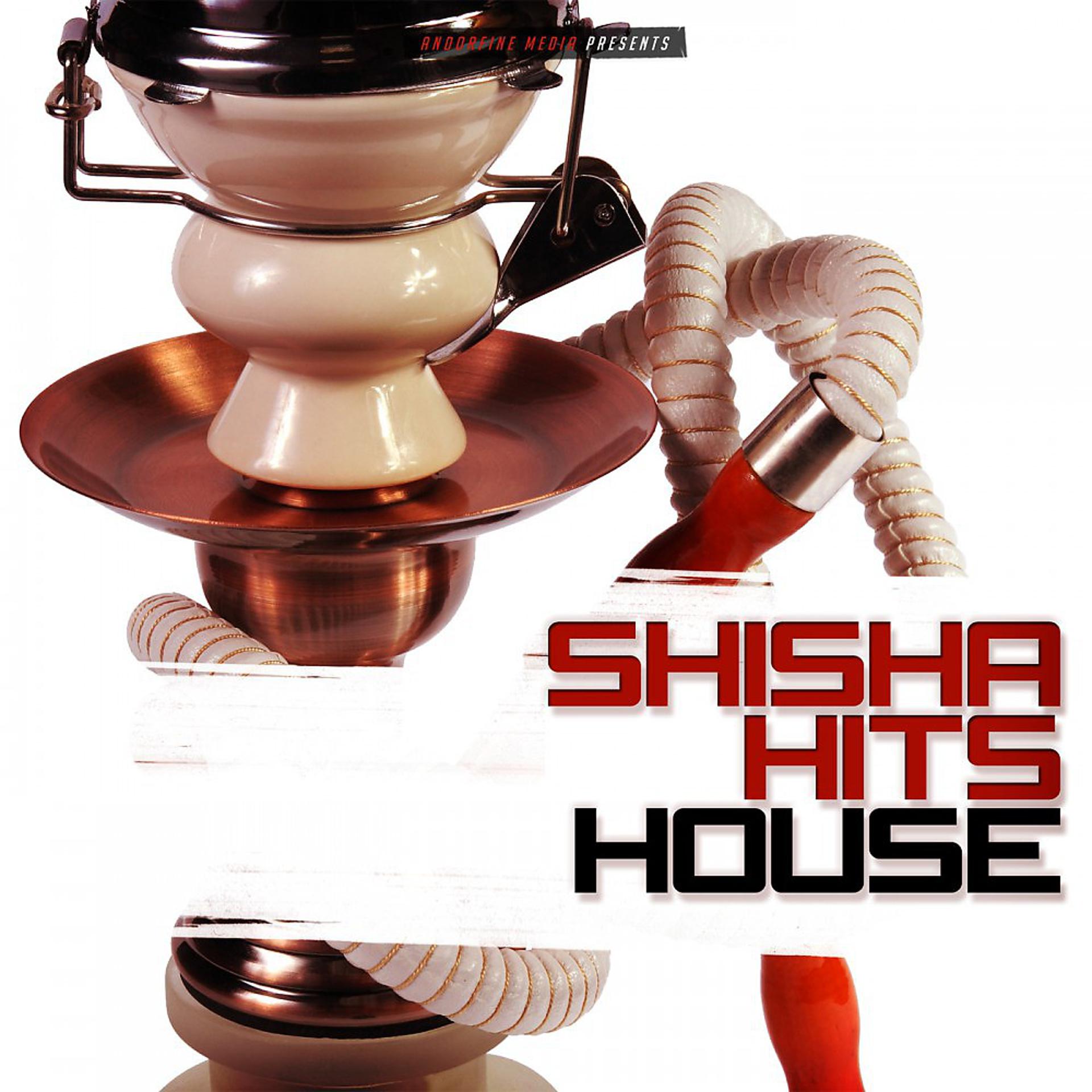 Постер альбома Shisha Hits House