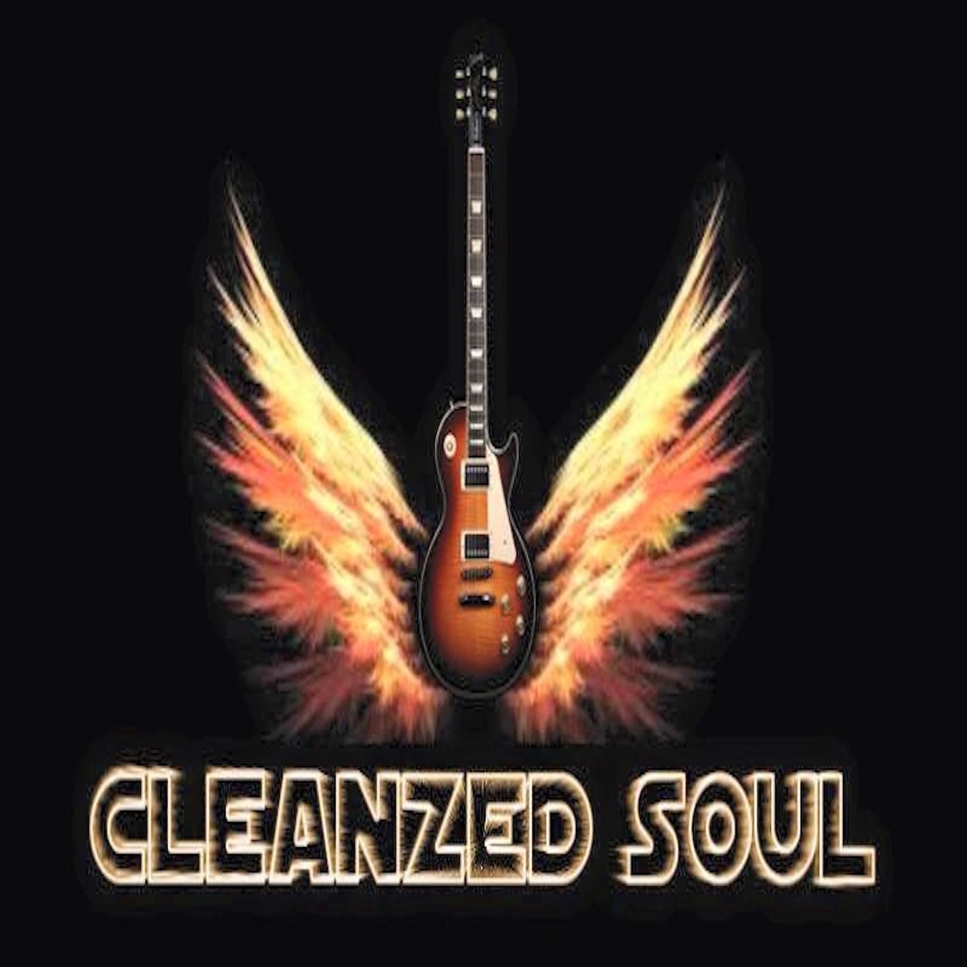 Постер альбома Cleanzed Soul