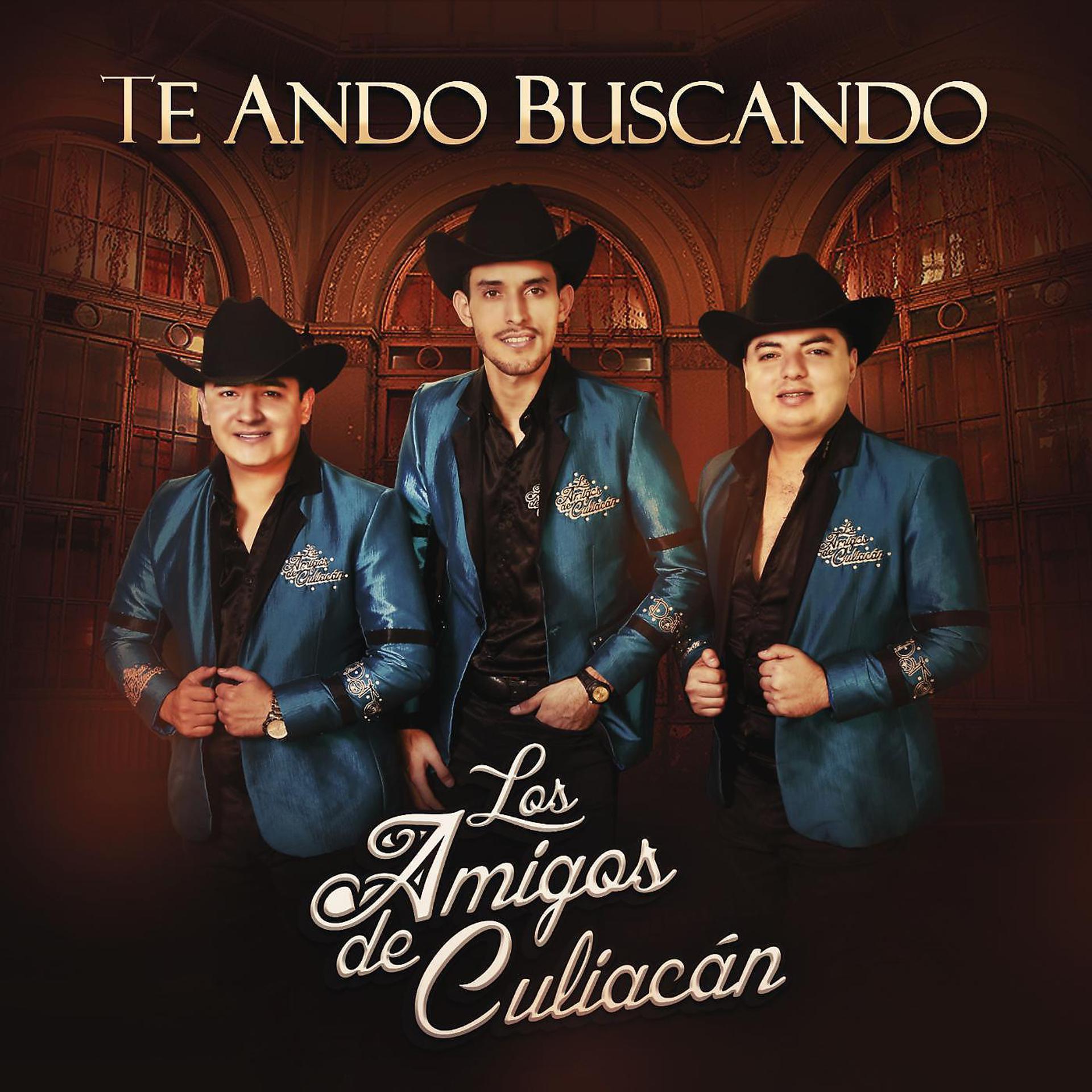 Постер альбома Te Ando Buscando
