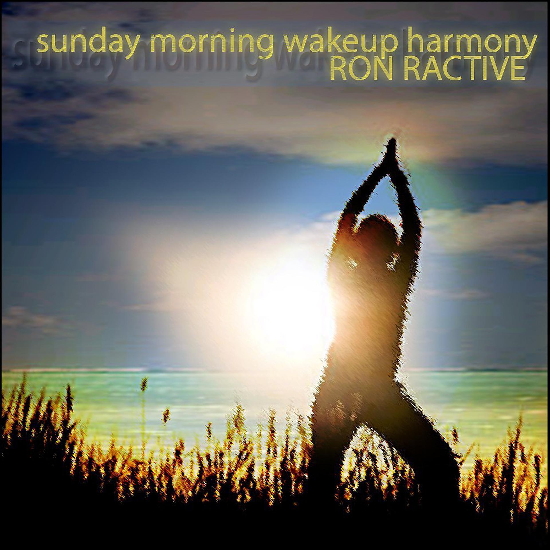 Постер альбома Sunday Morning Wakeup Harmony