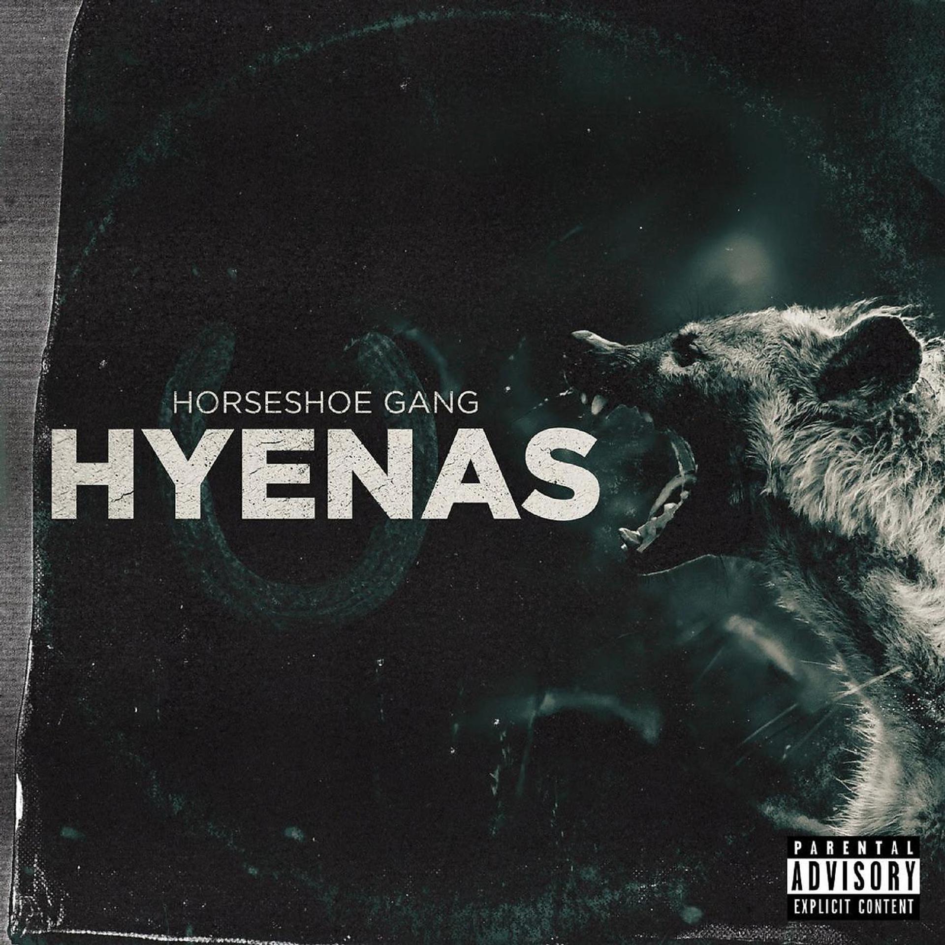 Постер альбома Hyenas