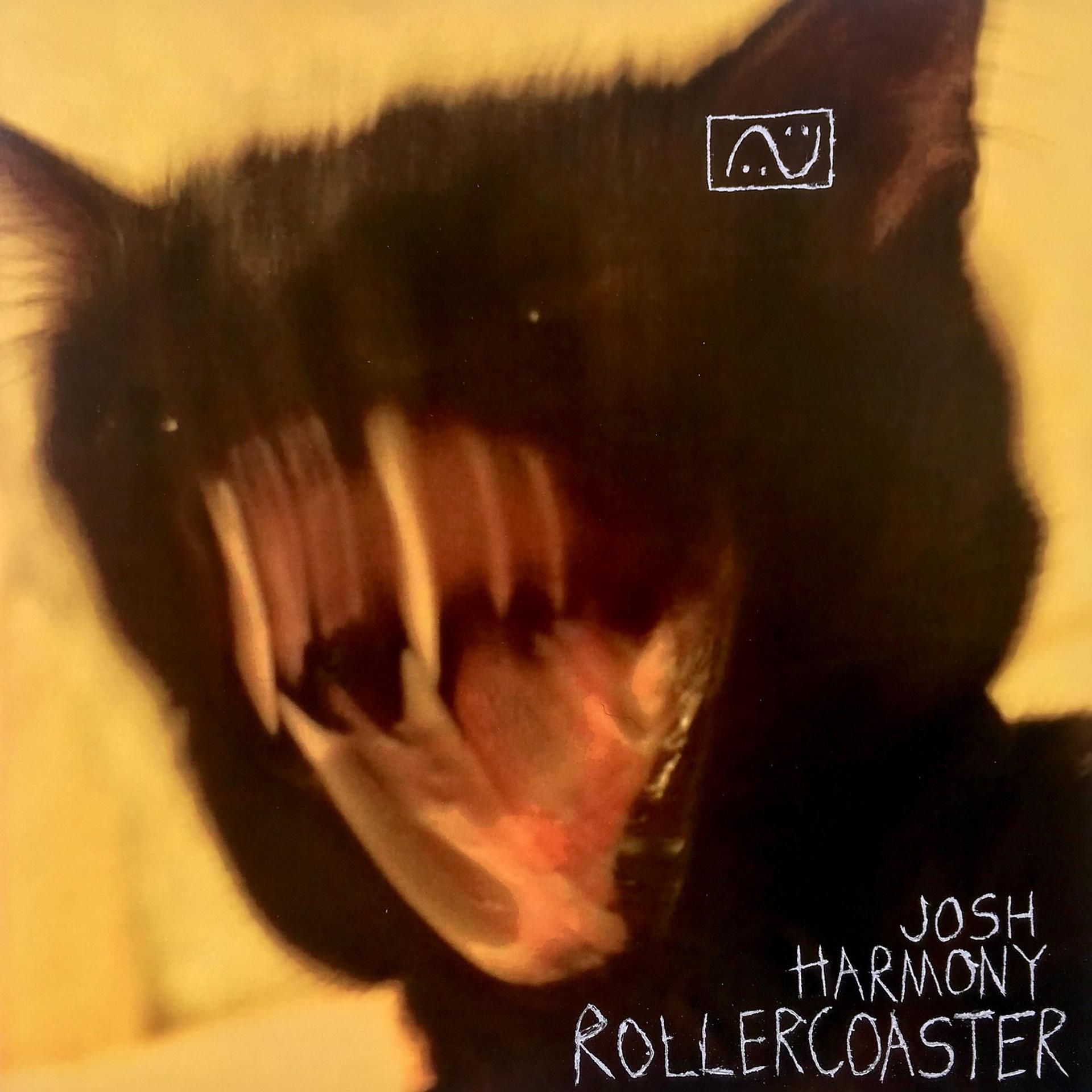 Постер альбома RollerCoaster