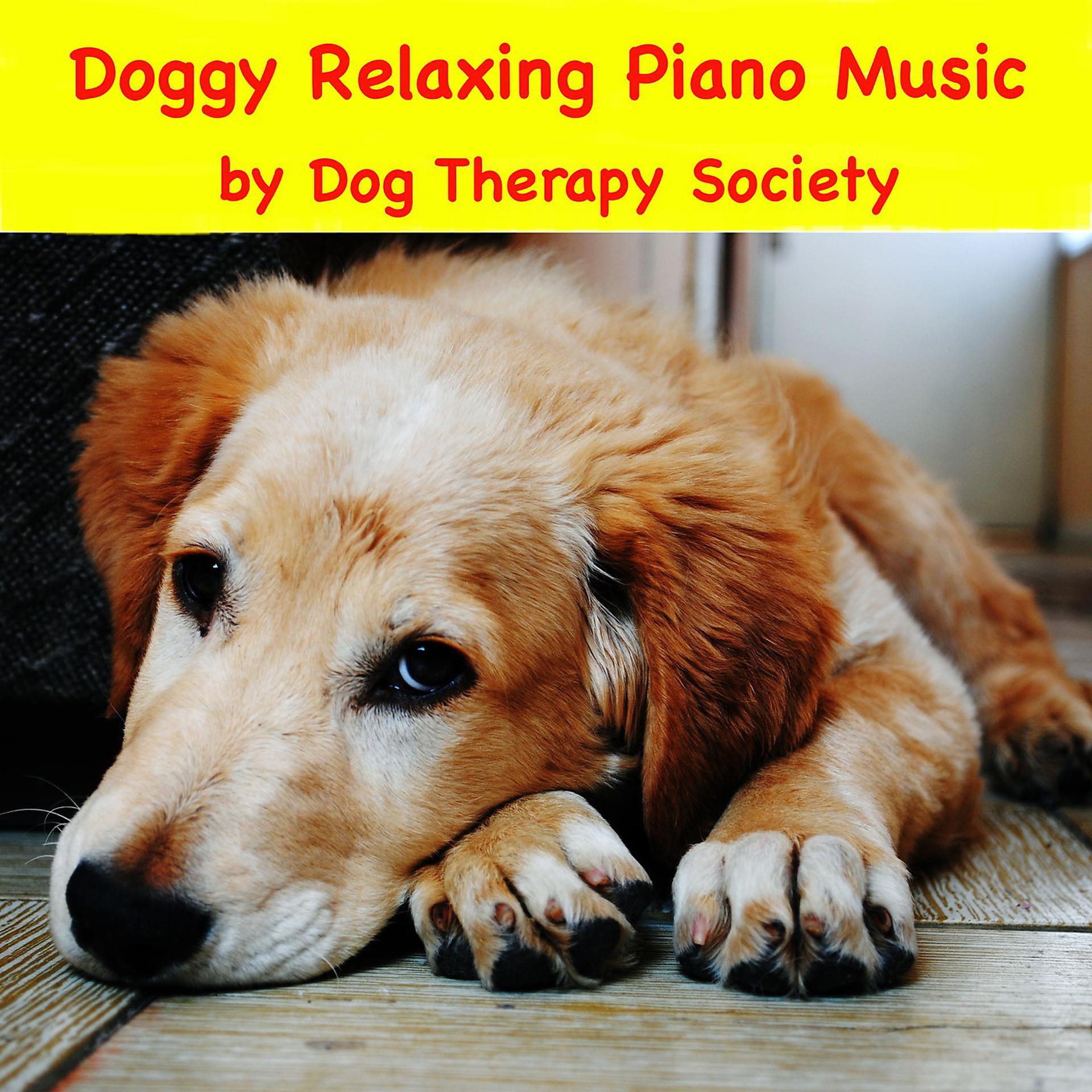 Постер альбома Doggy Relaxing Piano Music