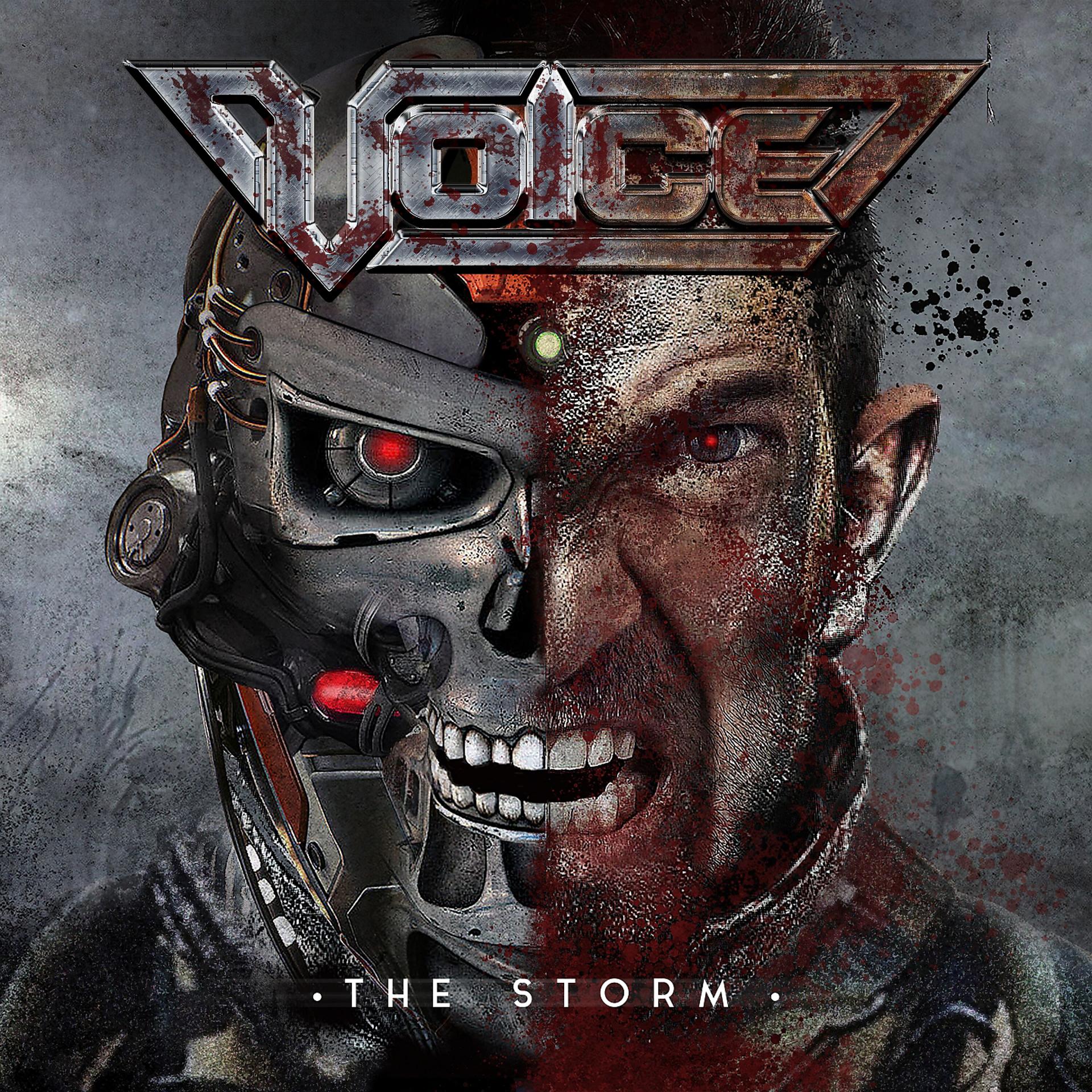 Постер альбома The Storm