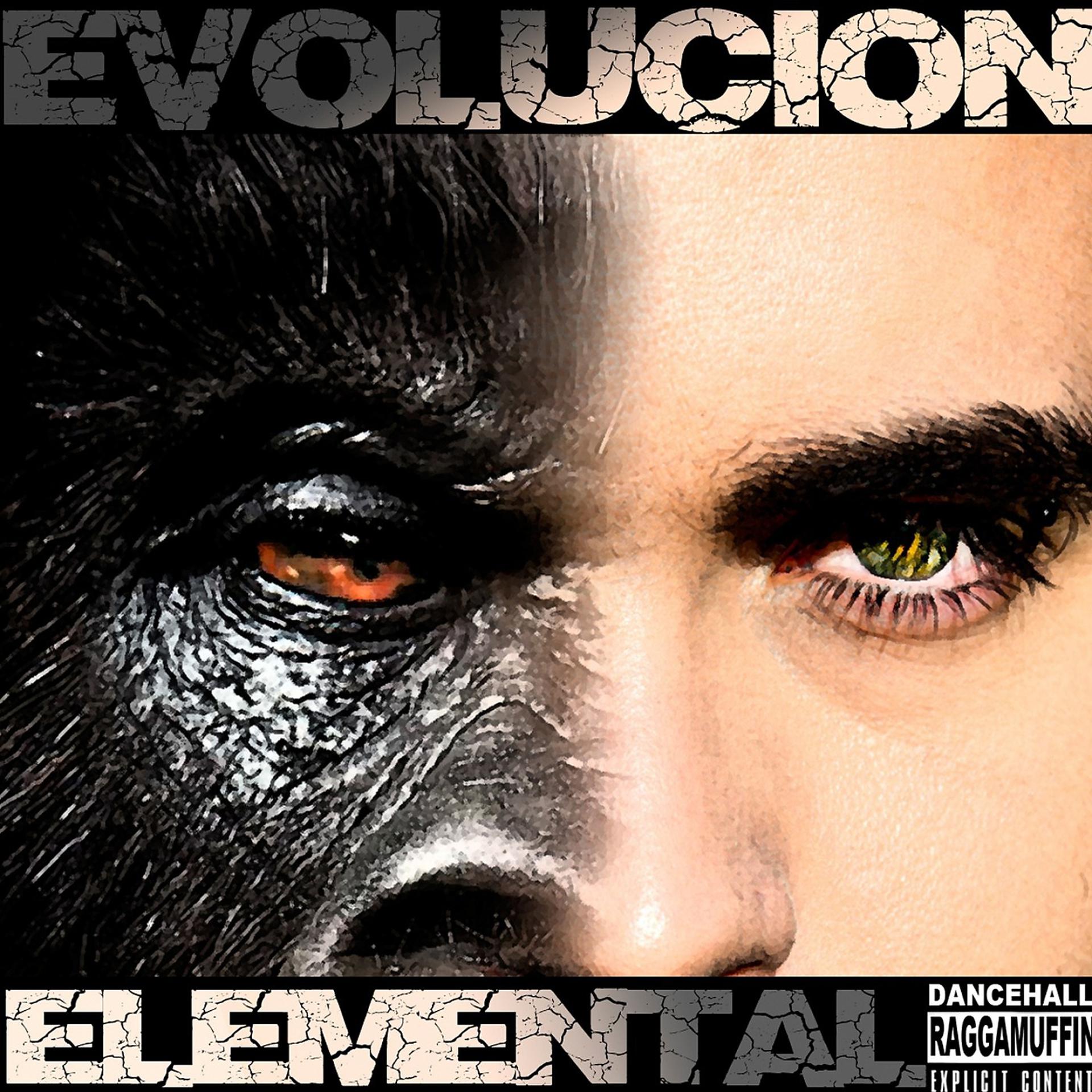Постер альбома Evolución