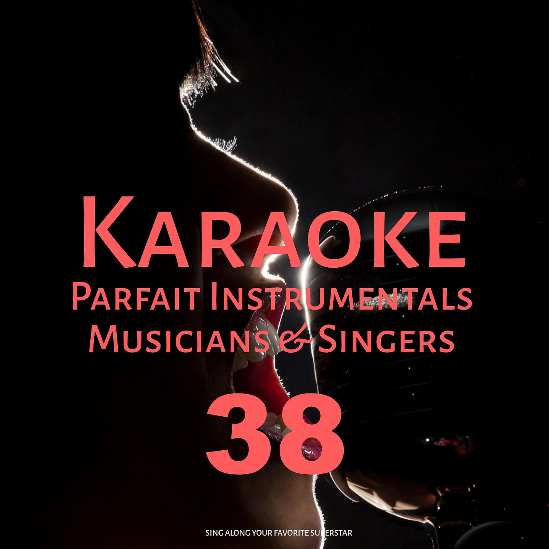 Постер альбома Karaoke Parfait Instrumentals Musicians & Singers, Vol. 38