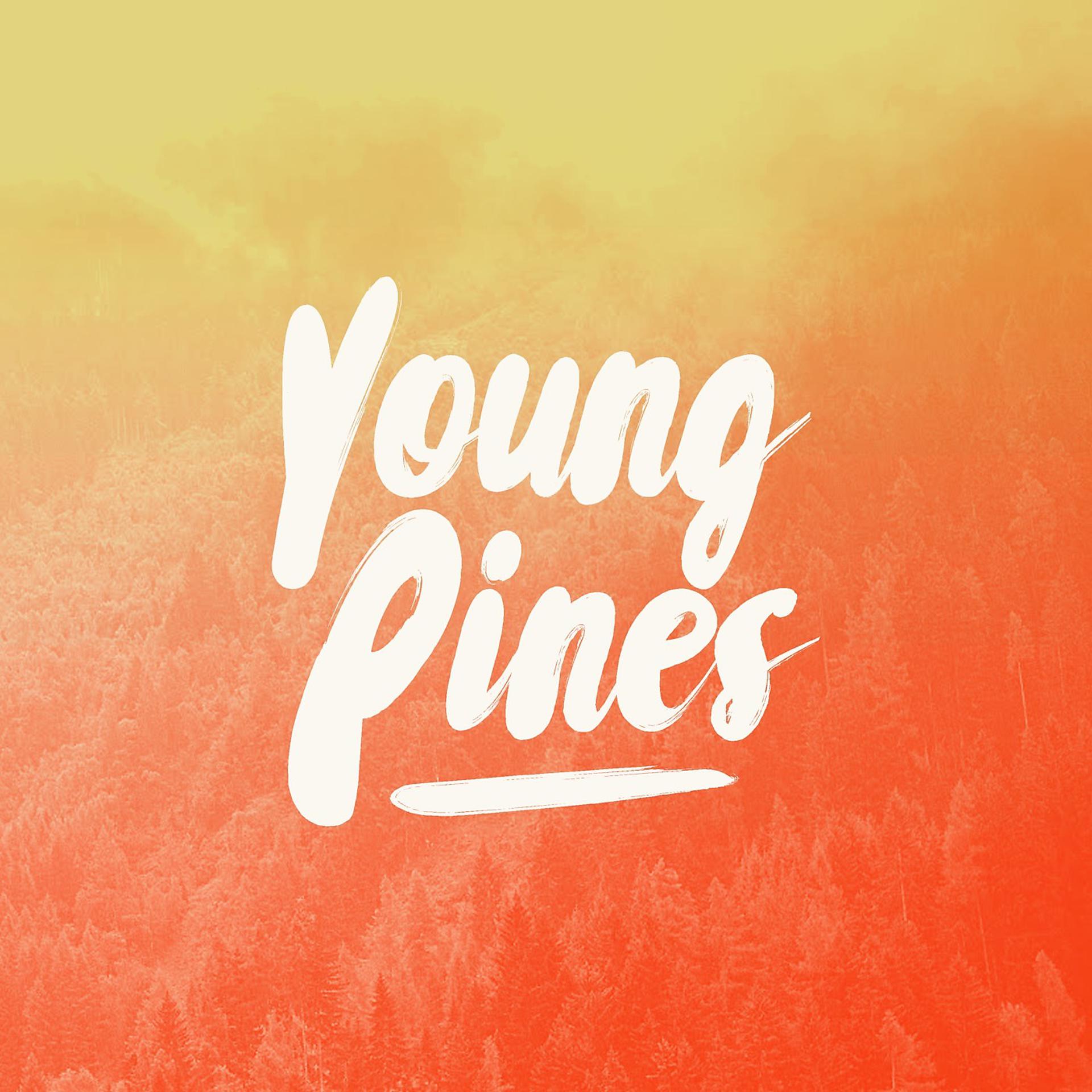 Постер альбома Young Pines