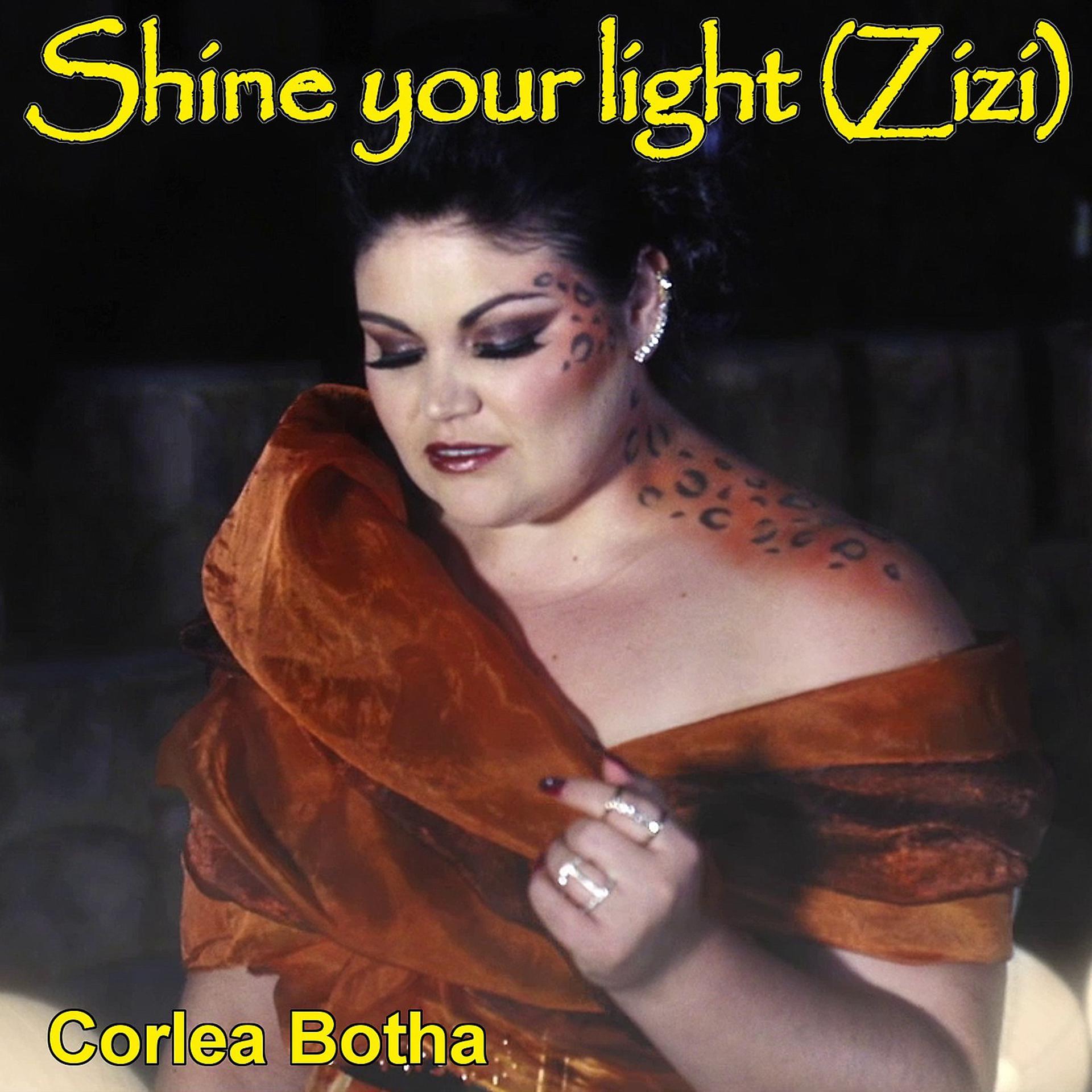 Постер альбома Shine Your Light (Zizi)