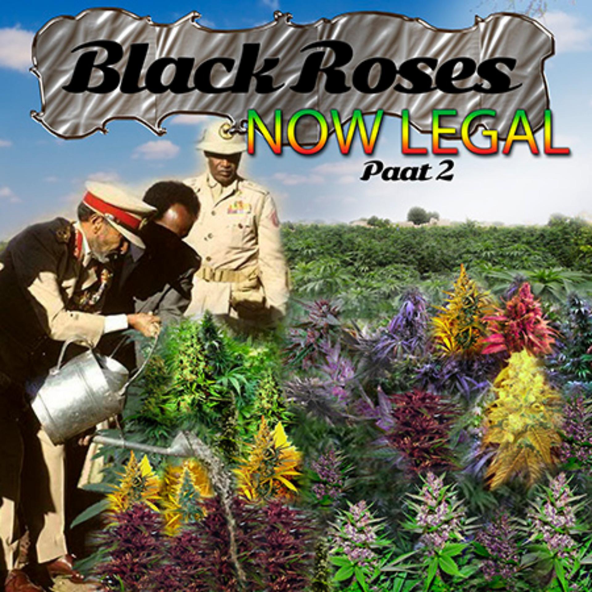 Постер альбома Black Roses Now Legal, Pt. 2