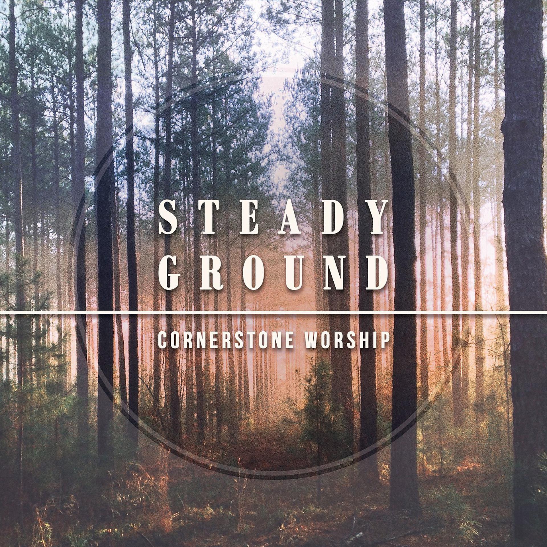 Постер альбома Steady Ground (feat. Devon Palmer)