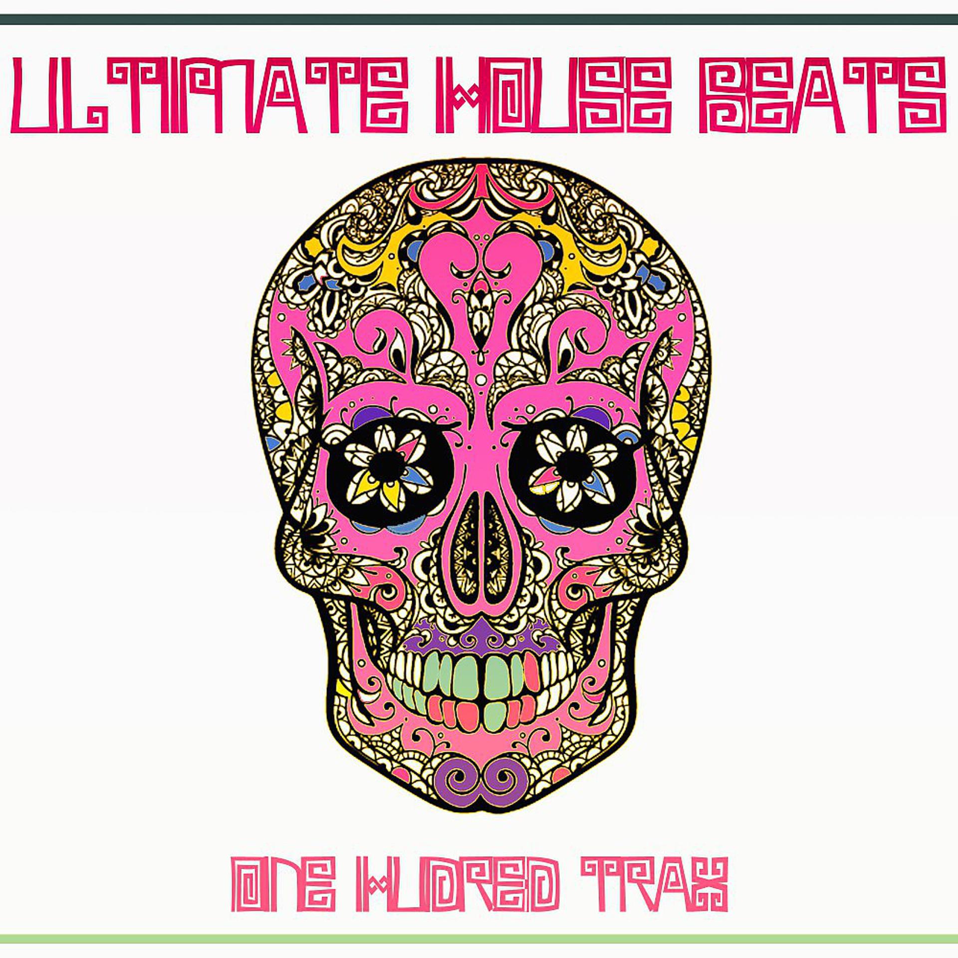 Постер альбома Ultimate House Beats (100 Trax Edition)