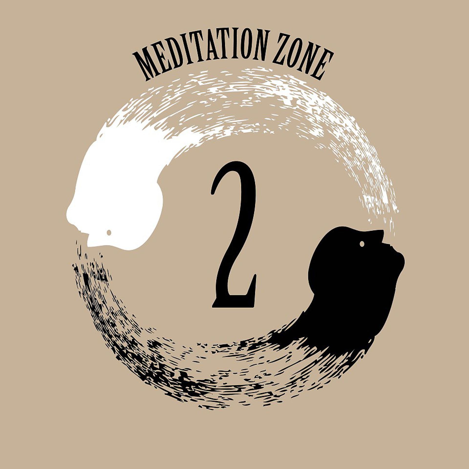 Постер альбома Meditation Zone 2
