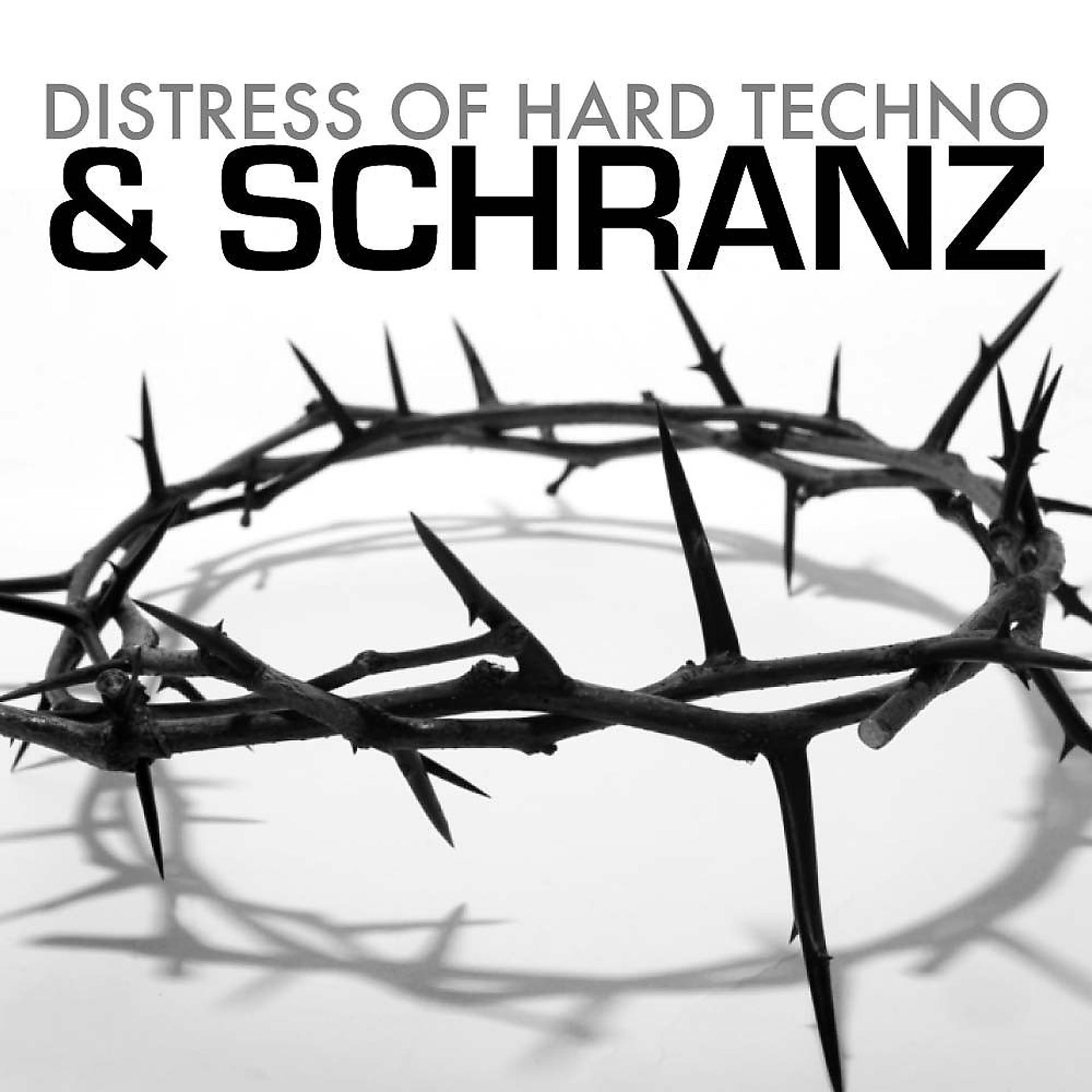 Постер альбома Distress of Hard Techno & Schranz