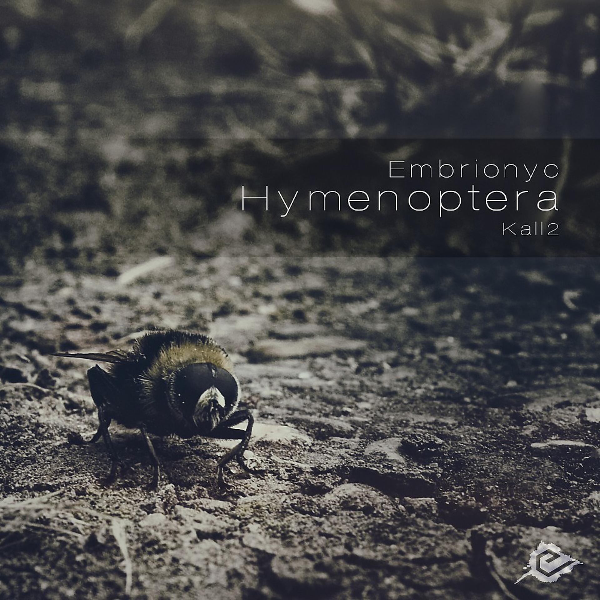 Постер альбома Hymenoptera