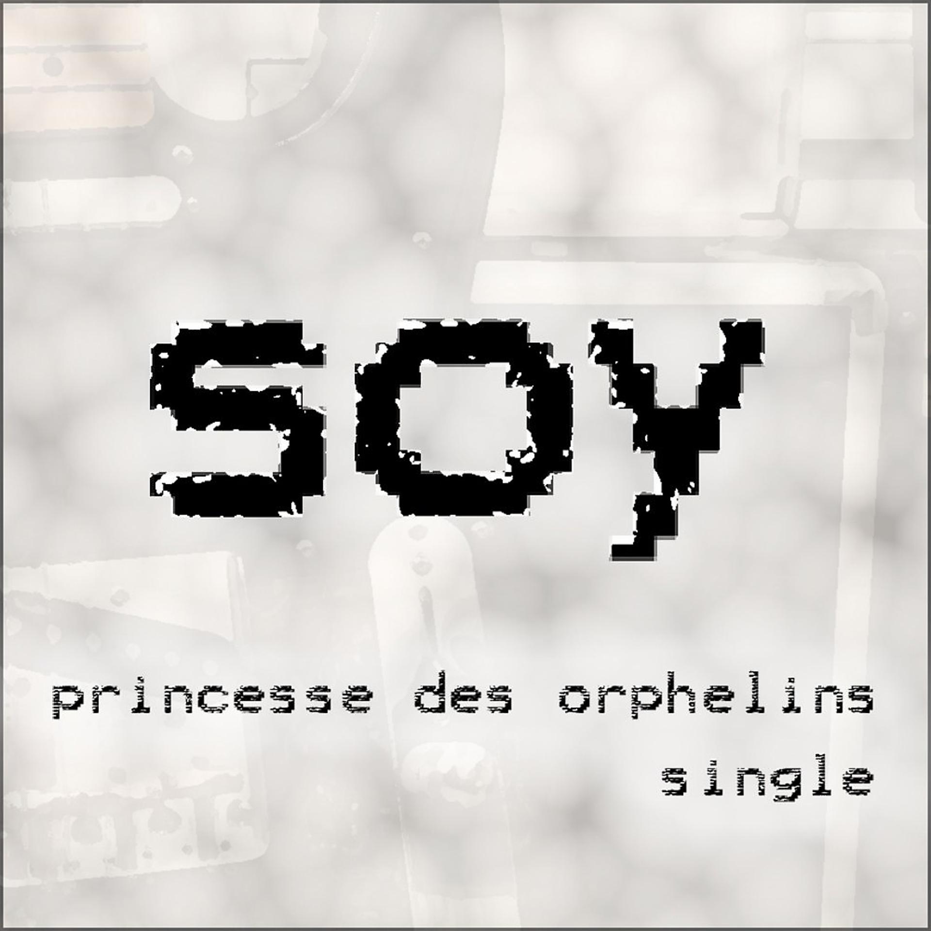 Постер альбома Princesse des orphelins