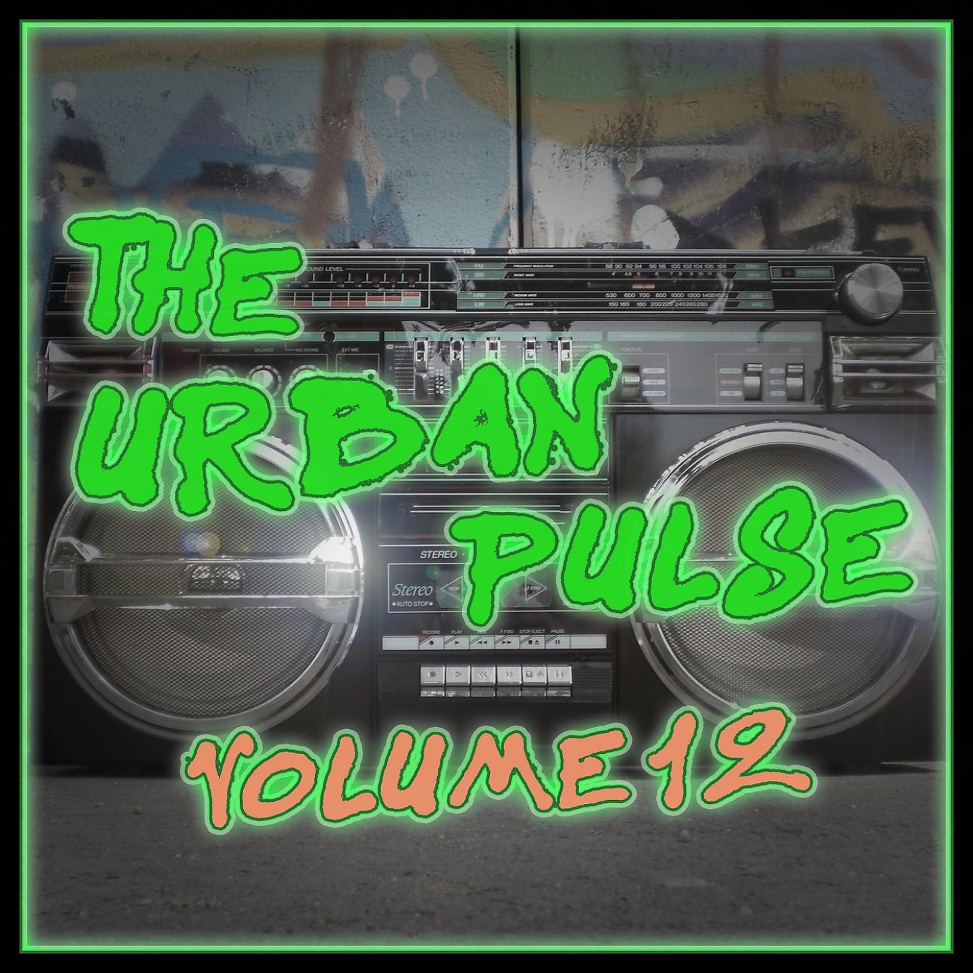 Постер альбома The Urban Pulse,Vol.12