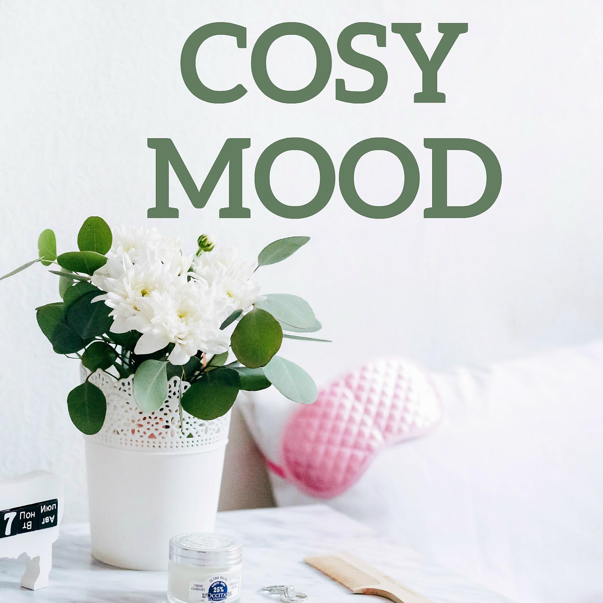 Постер альбома Cosy Mood