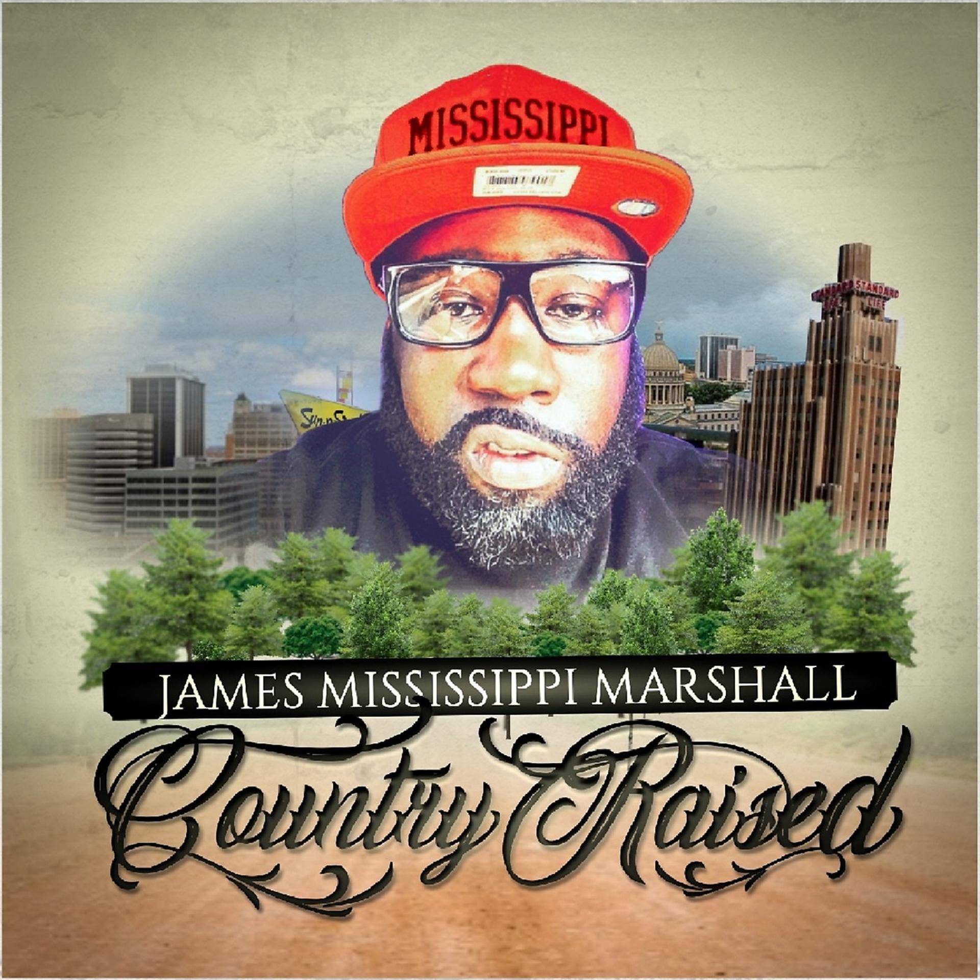 Постер альбома Country Raised (Radio Edit) [feat. Jonroe]