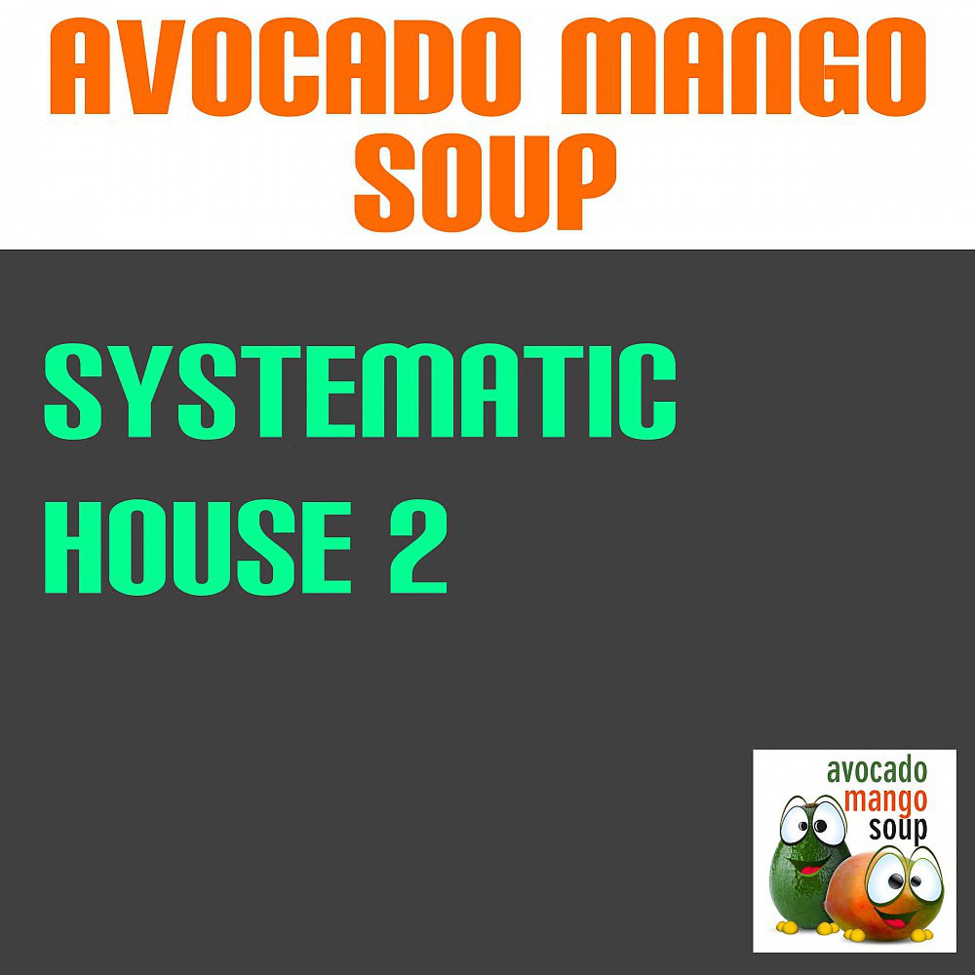 Постер альбома Systematic House, Vol. 2
