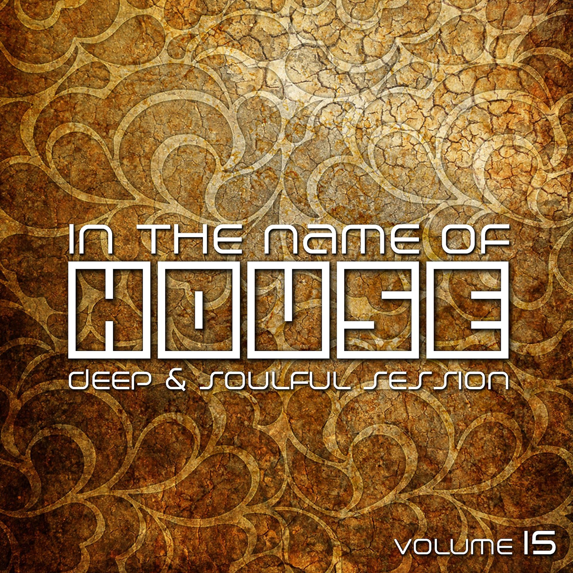Постер альбома In The Name Of House - Deep & Soulful Session, Vol. 15