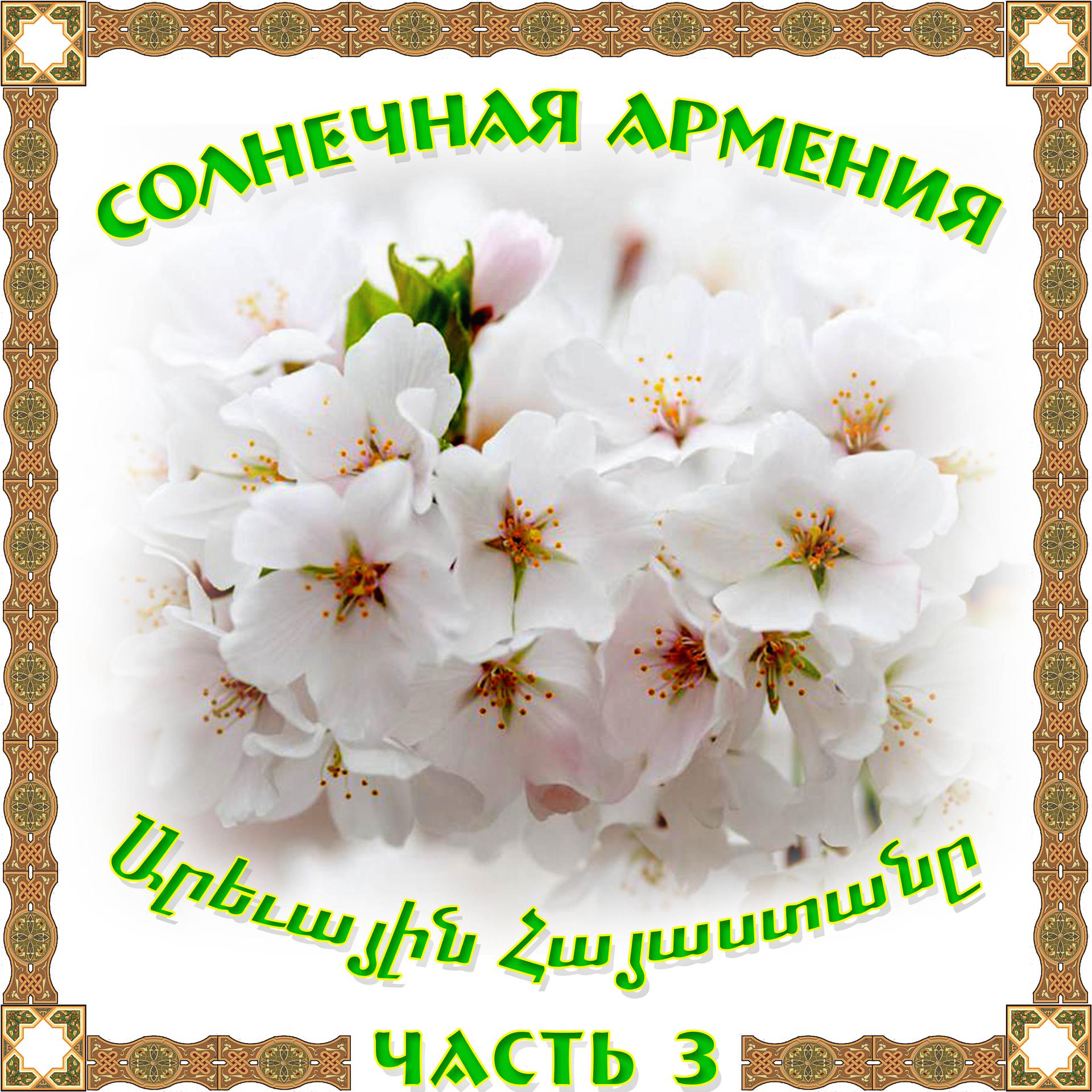 Постер альбома Солнечная Армения 3