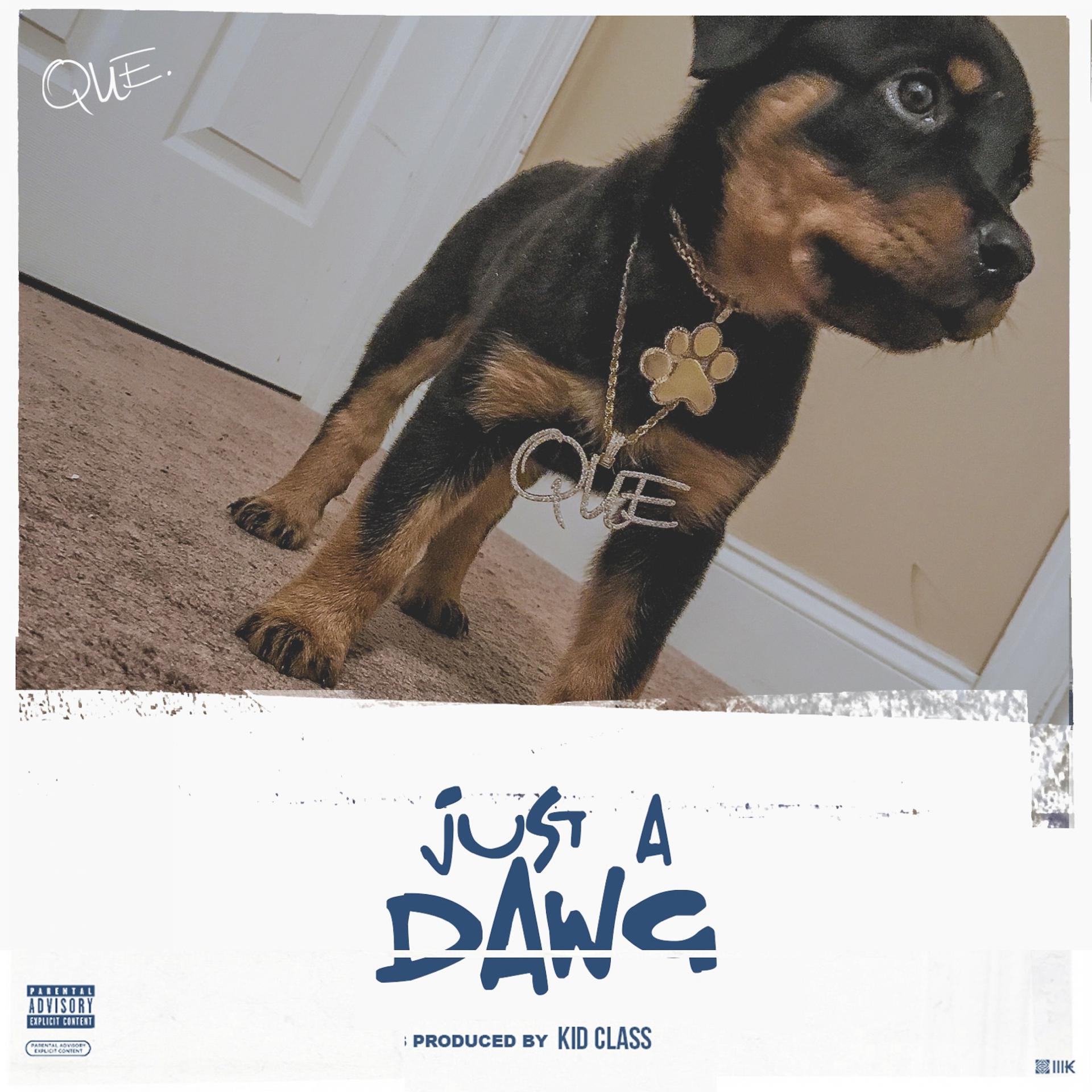Постер альбома Just a Dawg