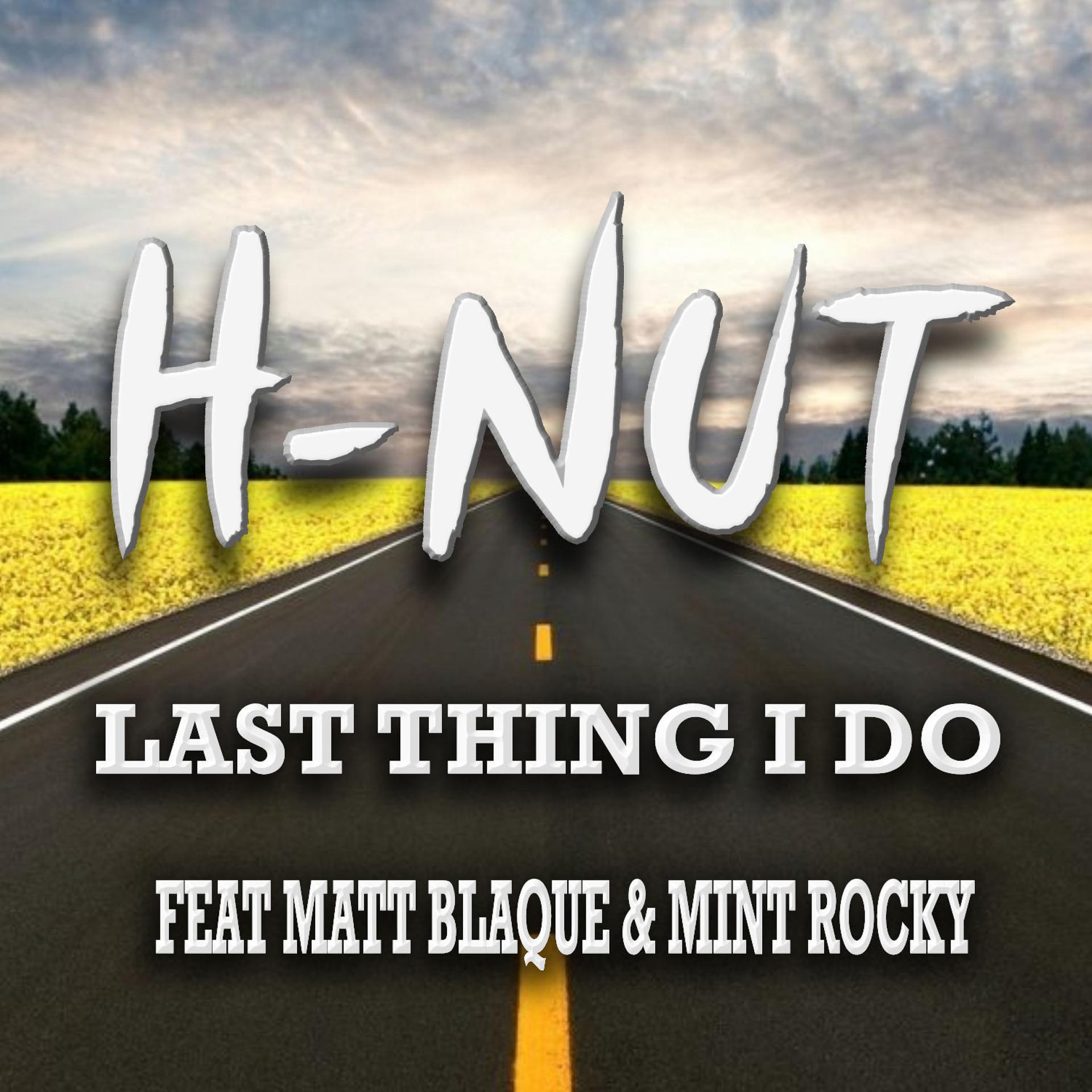 Постер альбома Last Thing I Do (feat. Matt Blaque & Mint Rocky)