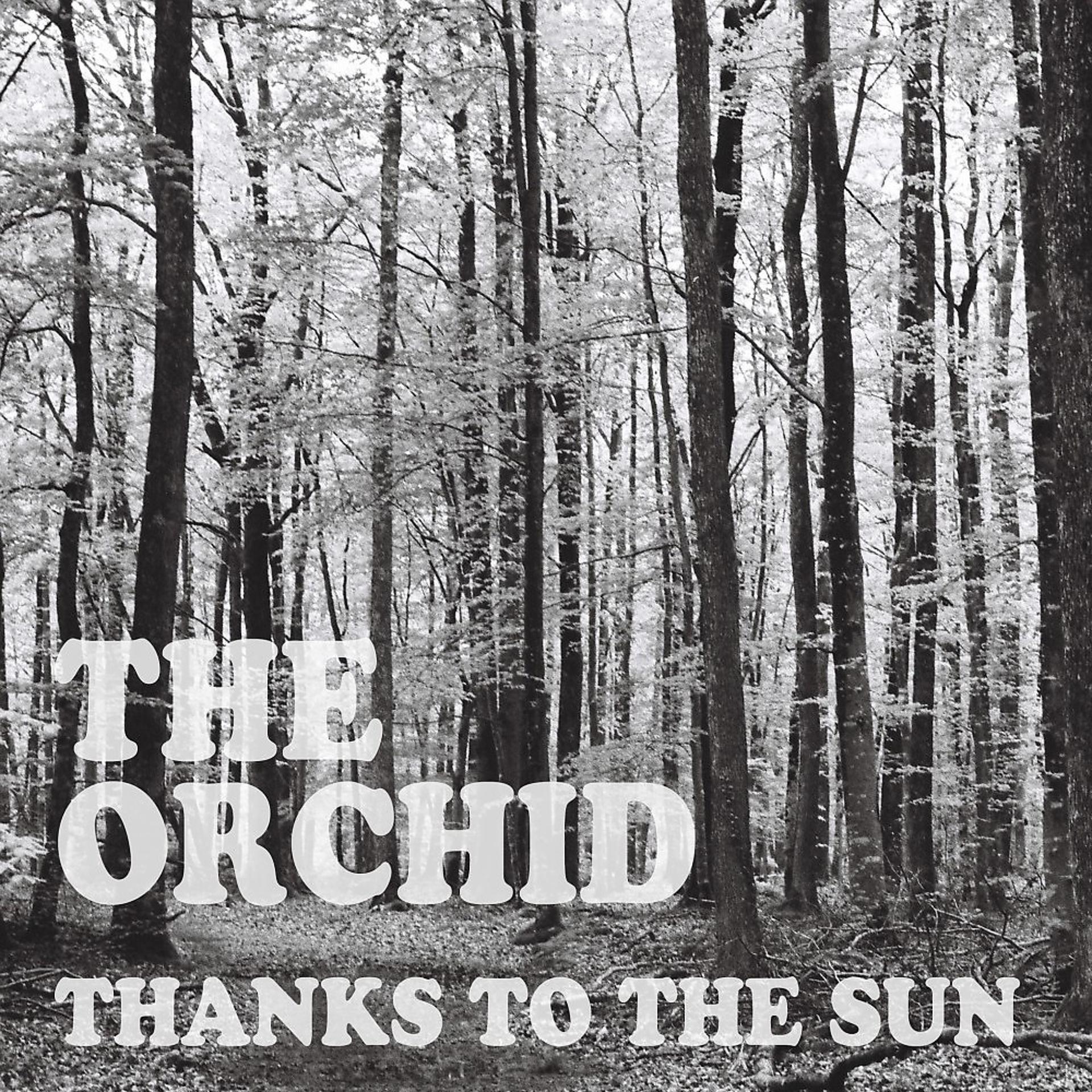 Постер альбома Thanks to the Sun