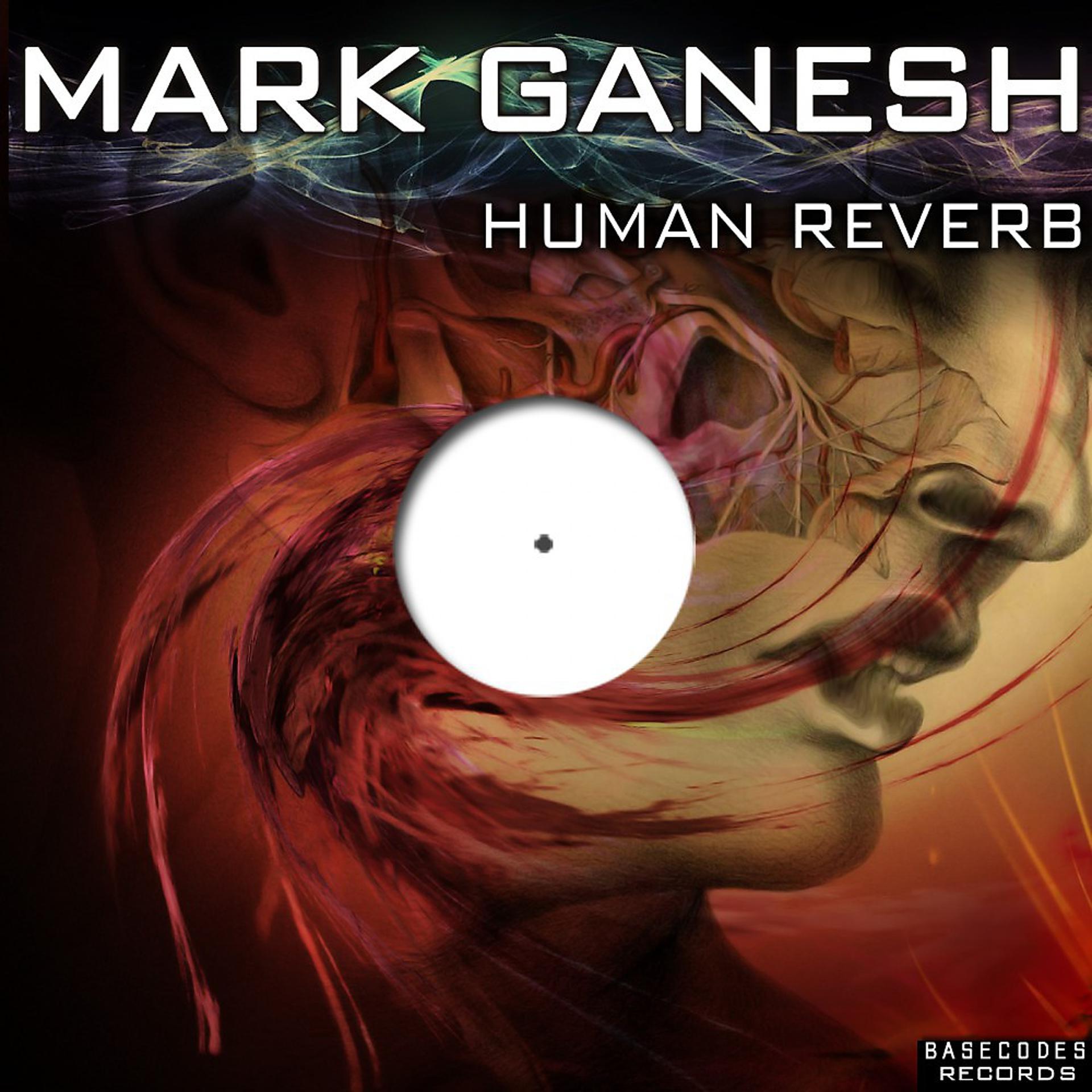 Постер альбома Human Reverb