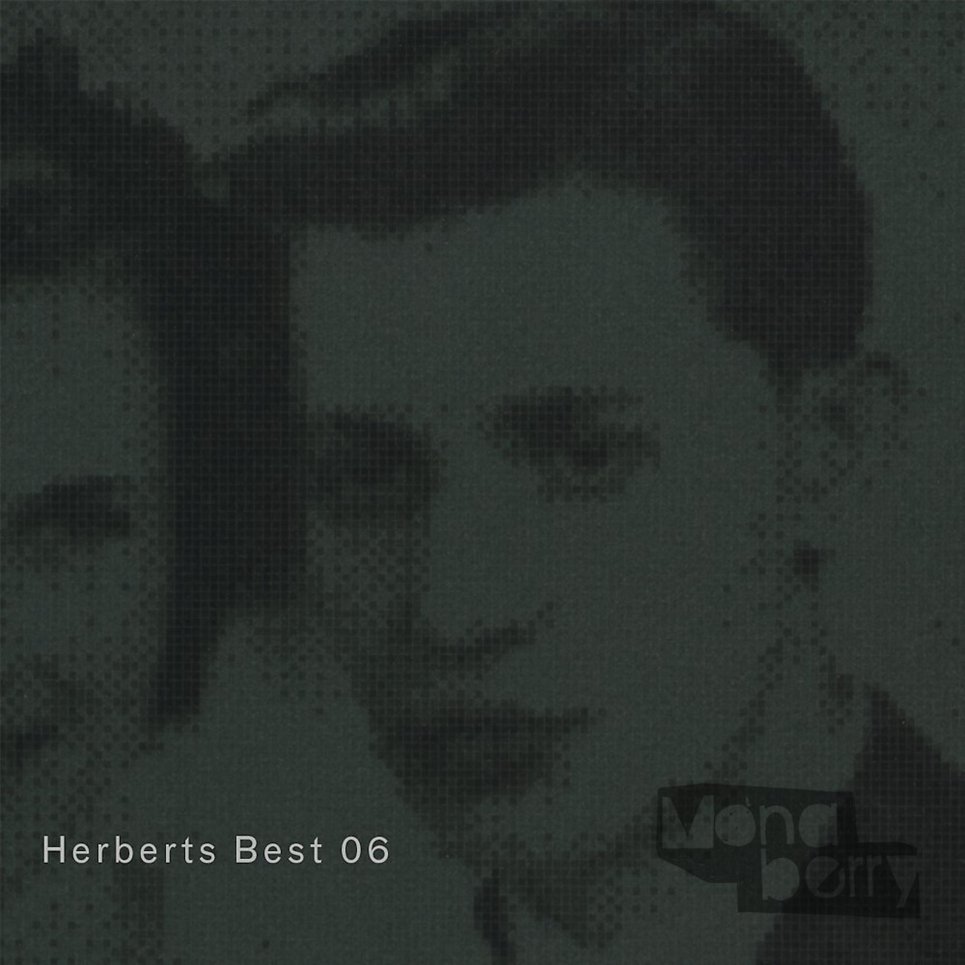 Постер альбома Herberts Best 06