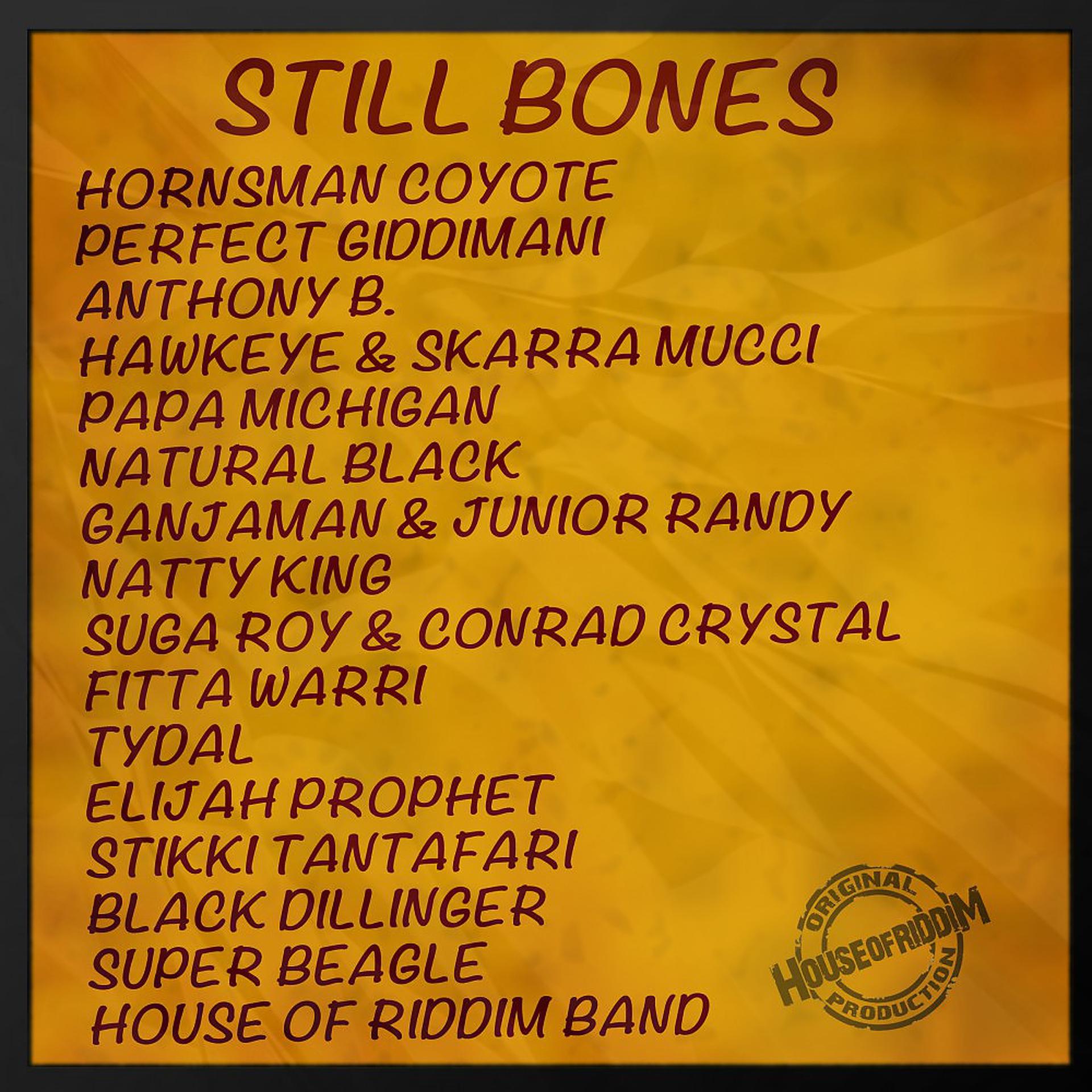 Постер альбома Still Bones Selection