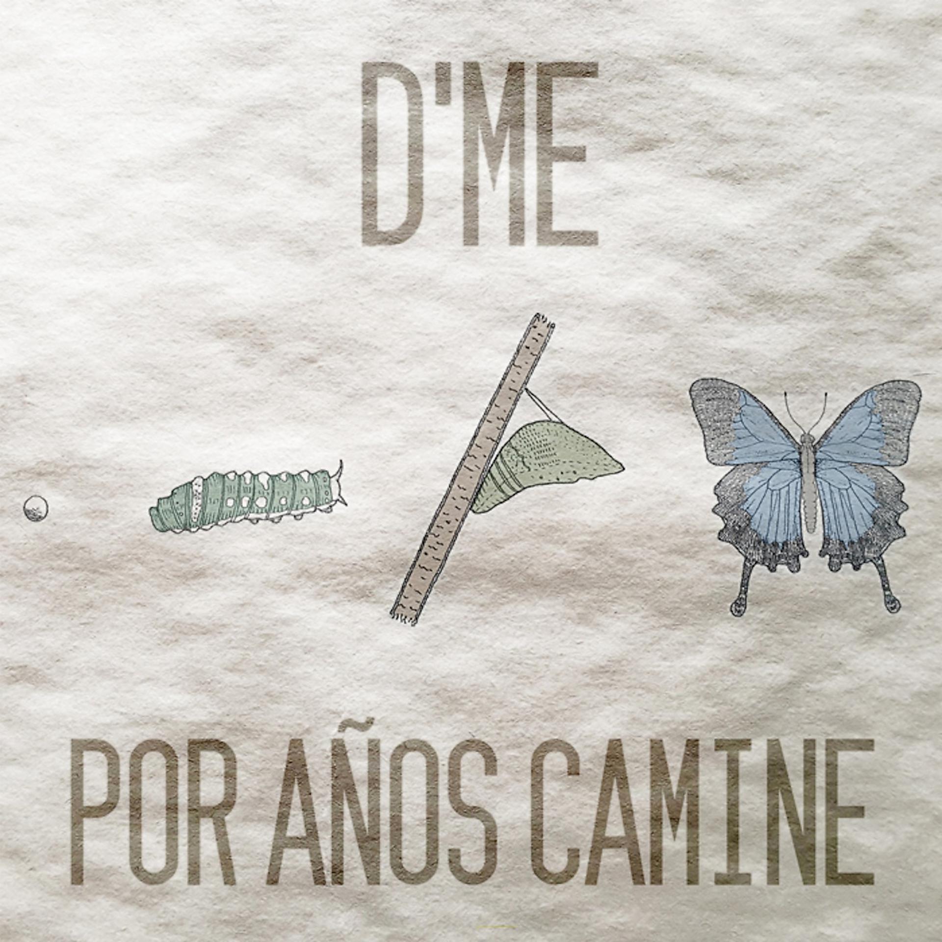 Постер альбома Por Años Camine