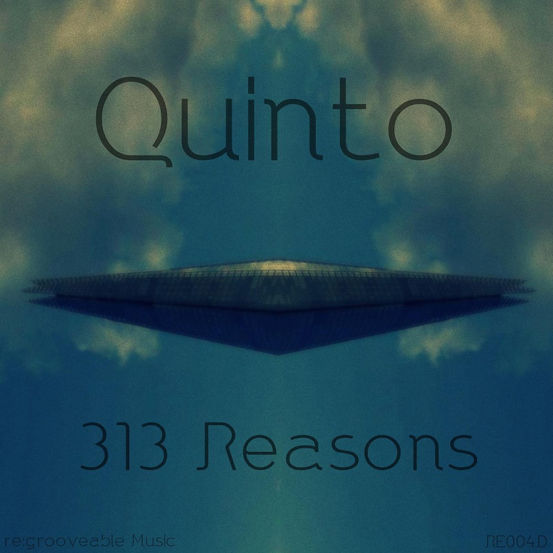 Постер альбома 313 Reasons