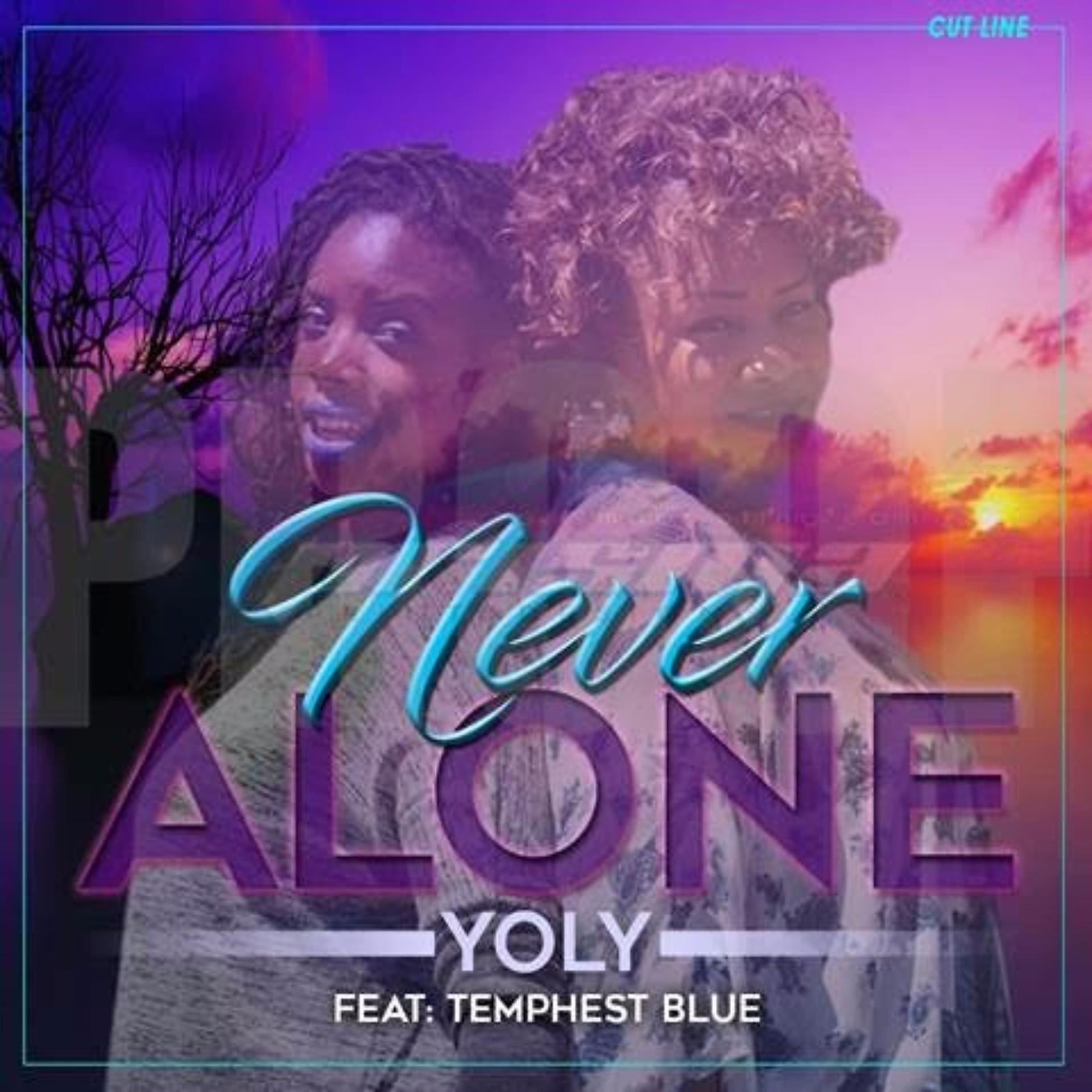 Постер альбома Never Alone (feat. Temphest Blue)