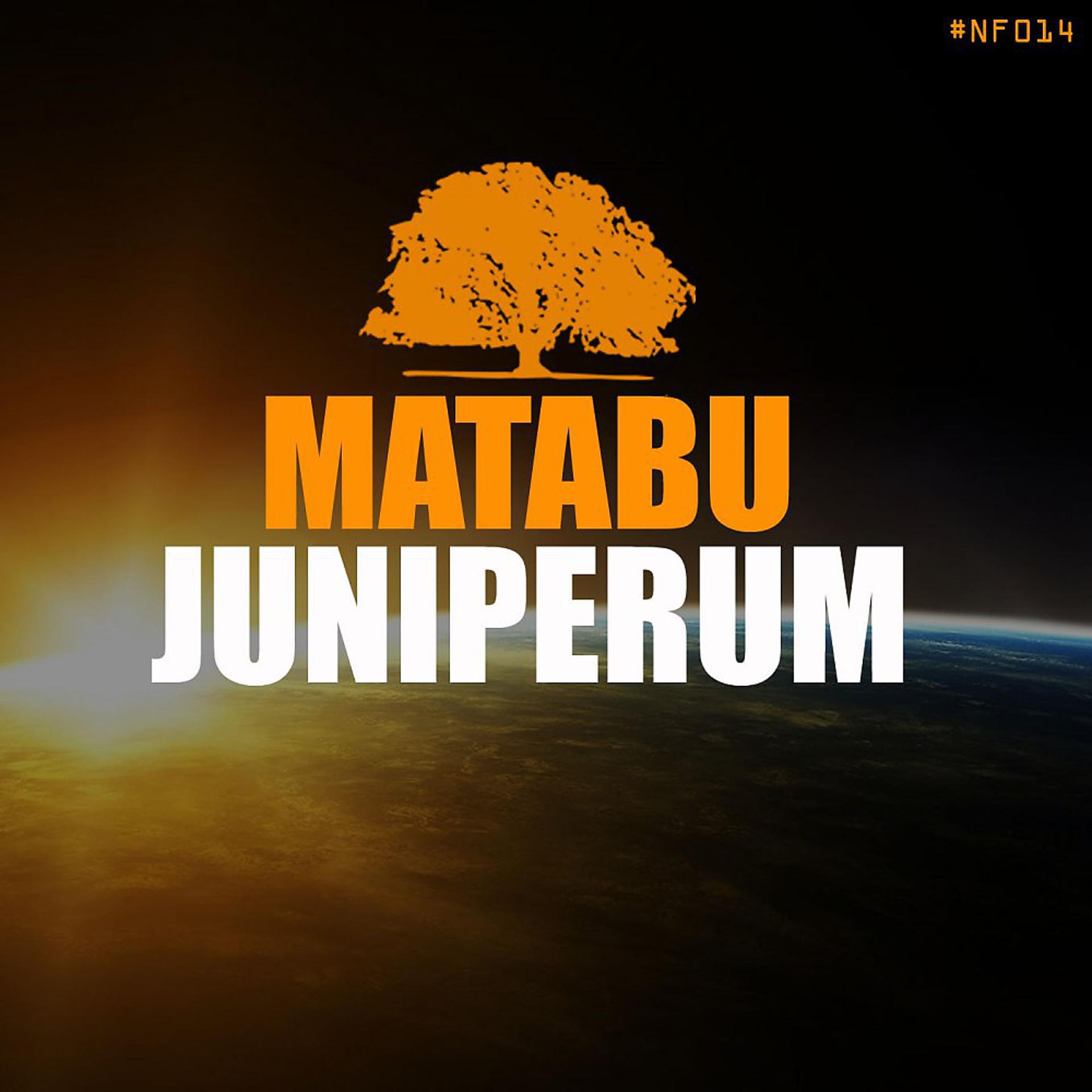 Постер альбома Matabu