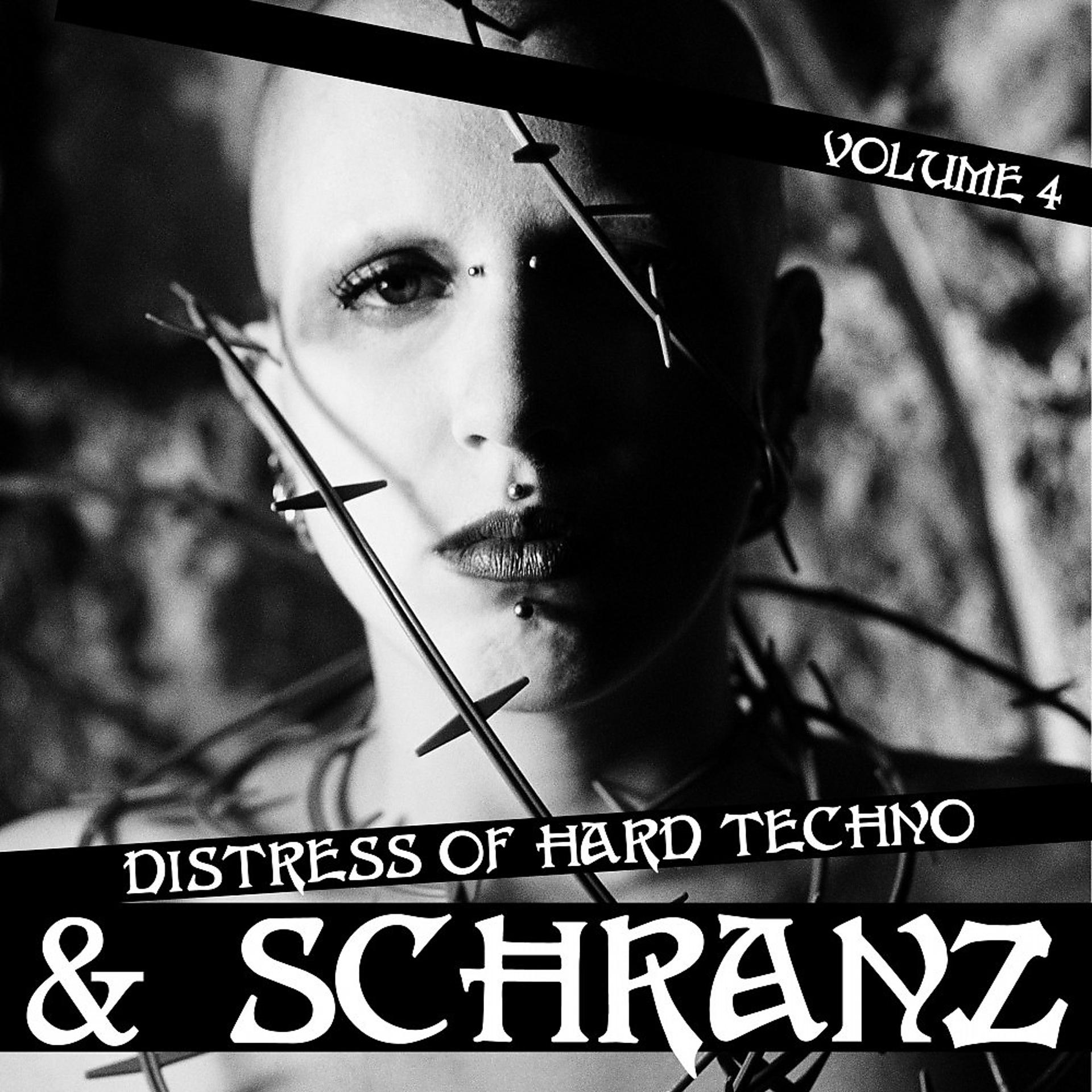 Постер альбома Distress of Hard Techno & Schranz, Vol. 4