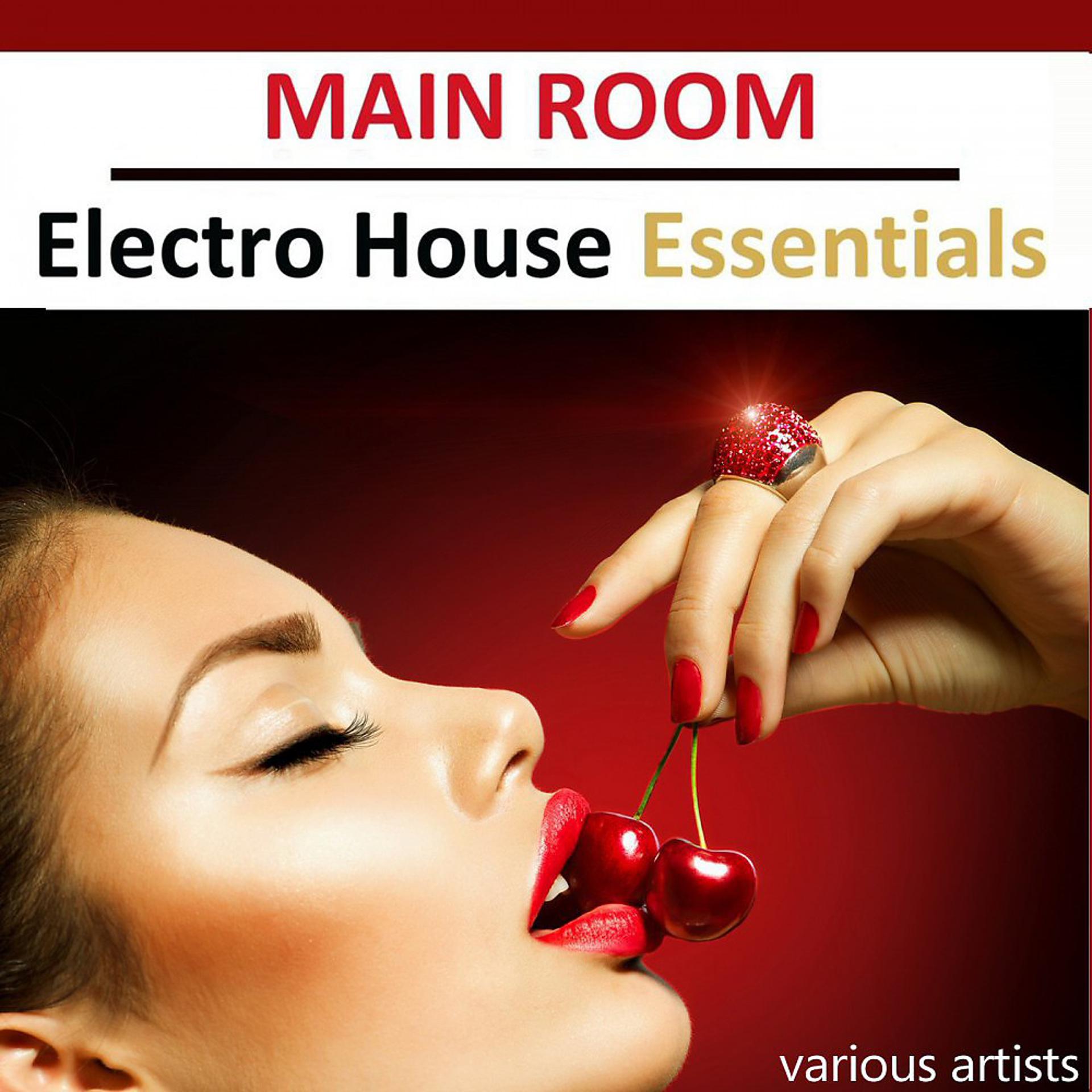 Постер альбома Main Room Electro House Essentials