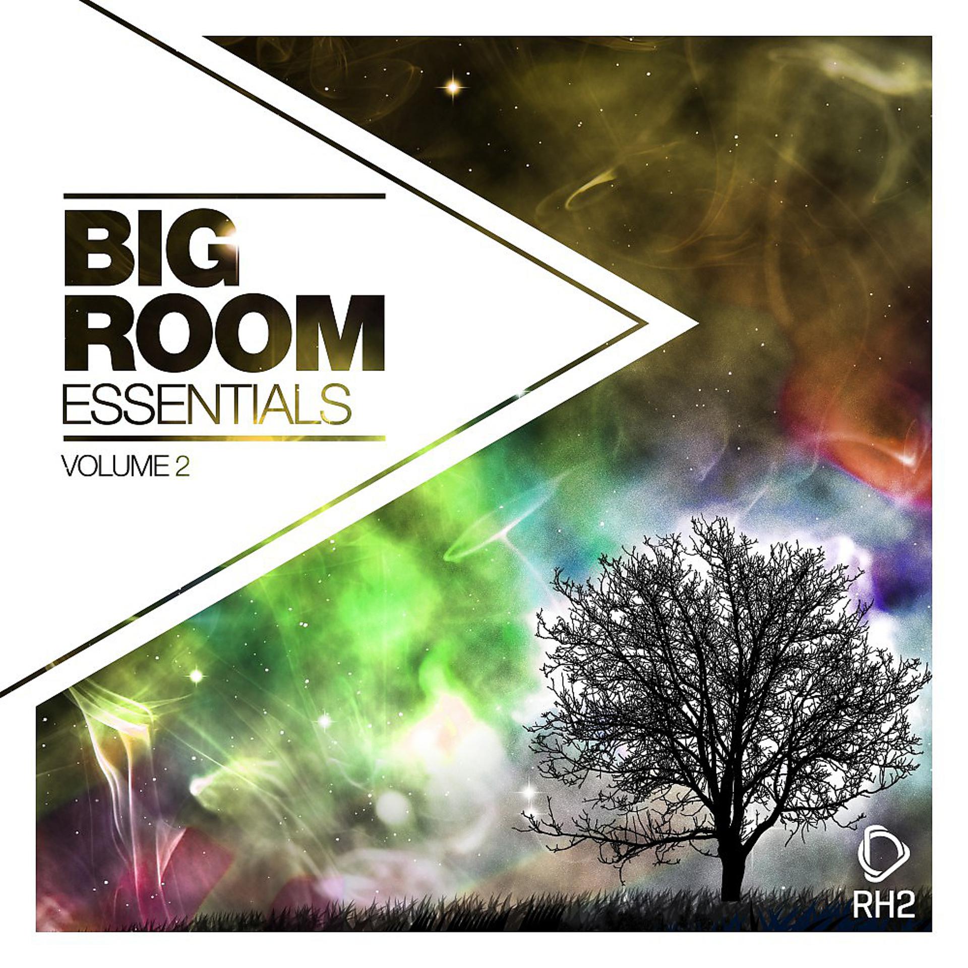 Постер альбома Big Room Essentials, Vol. 2