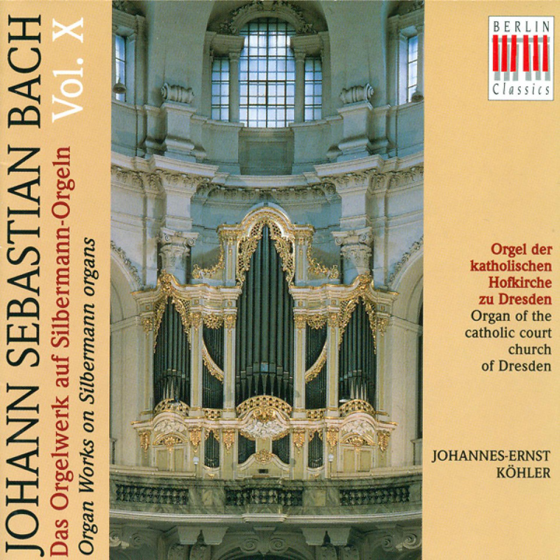 Постер альбома Bach: Organ Music on Silbermann Organs, Vol. 10